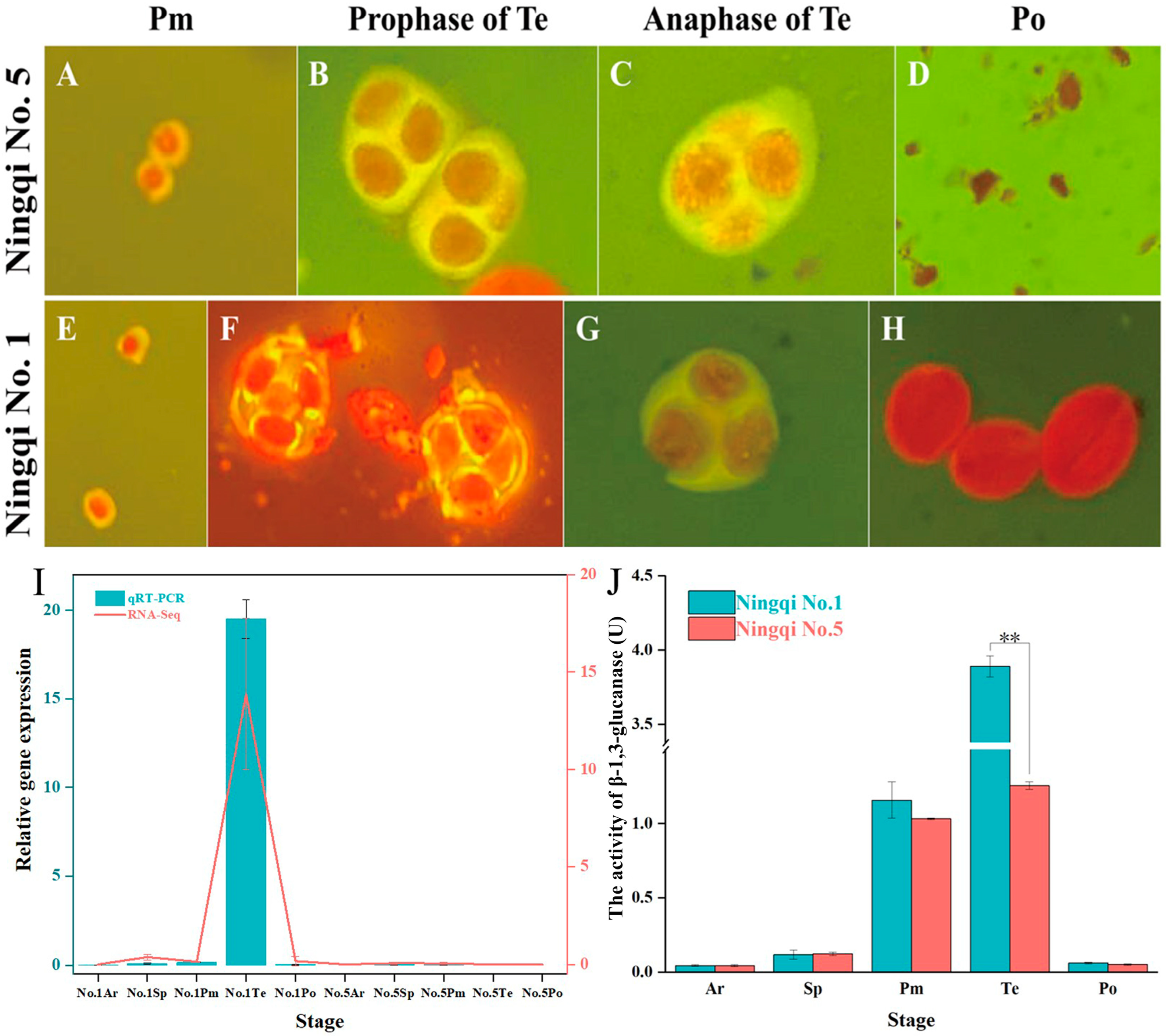 Plants 14 00052 g006