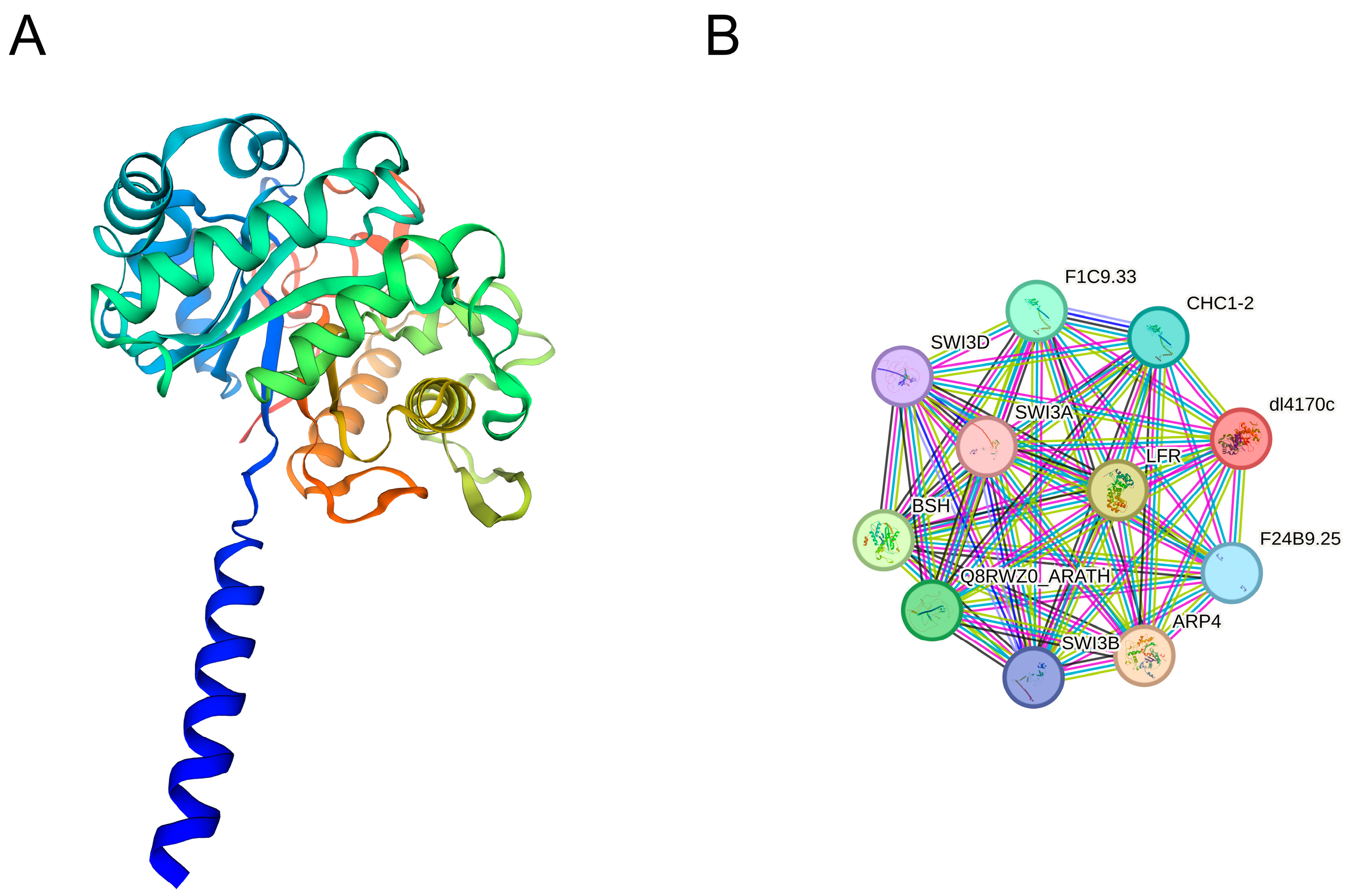 Plants 14 00052 g008