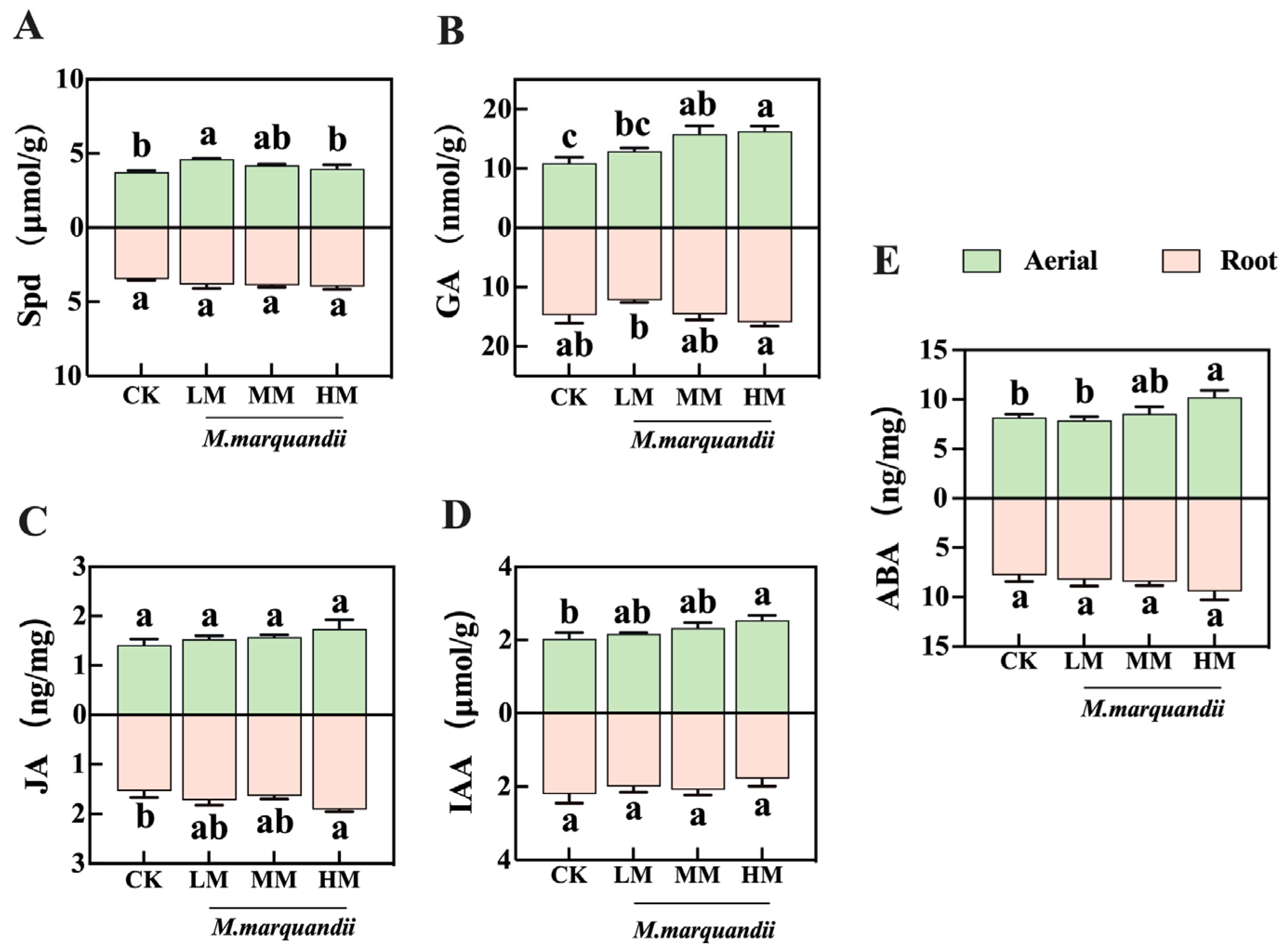 Plants 14 00058 g004