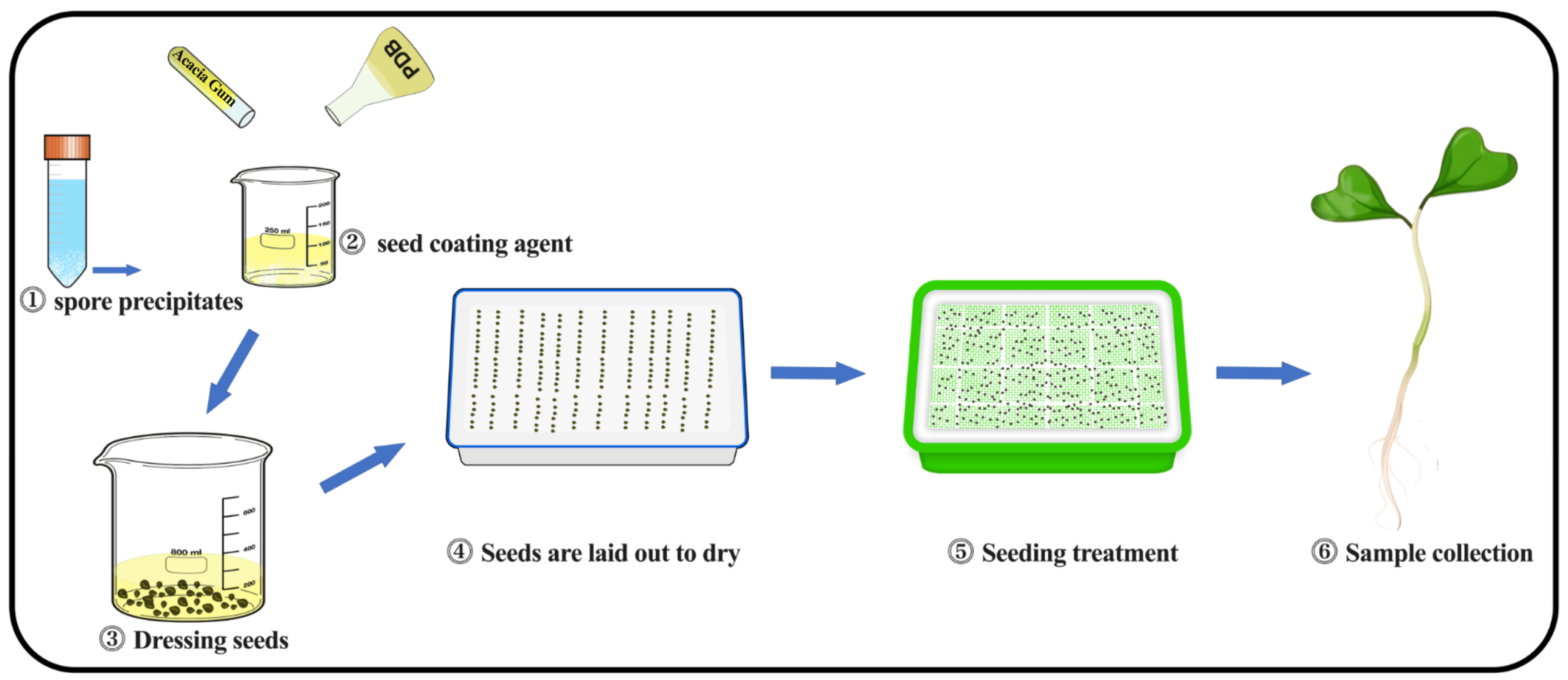 Plants 14 00058 g007