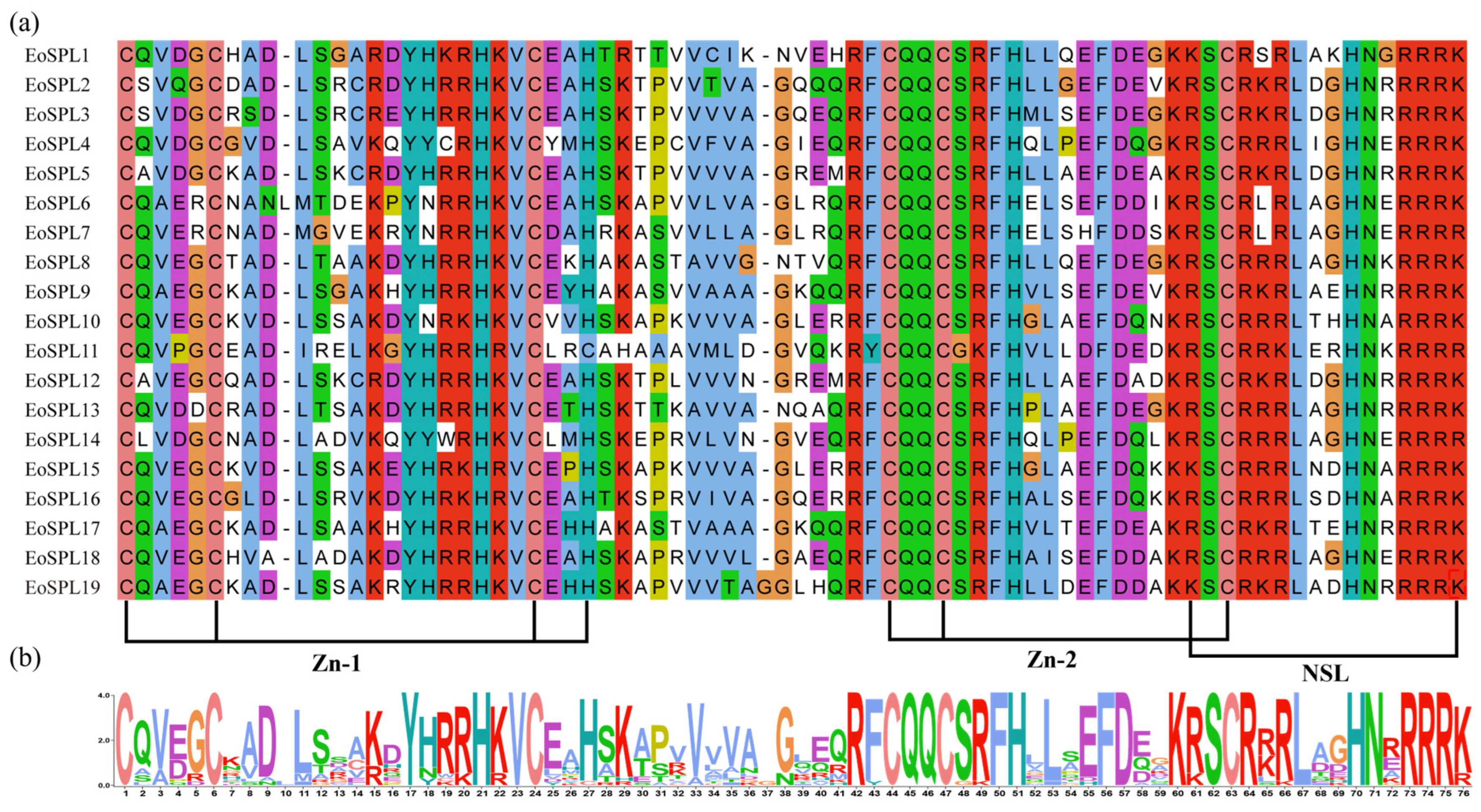 Genome-Wide Identification and Expression Profiling of the SPL ...