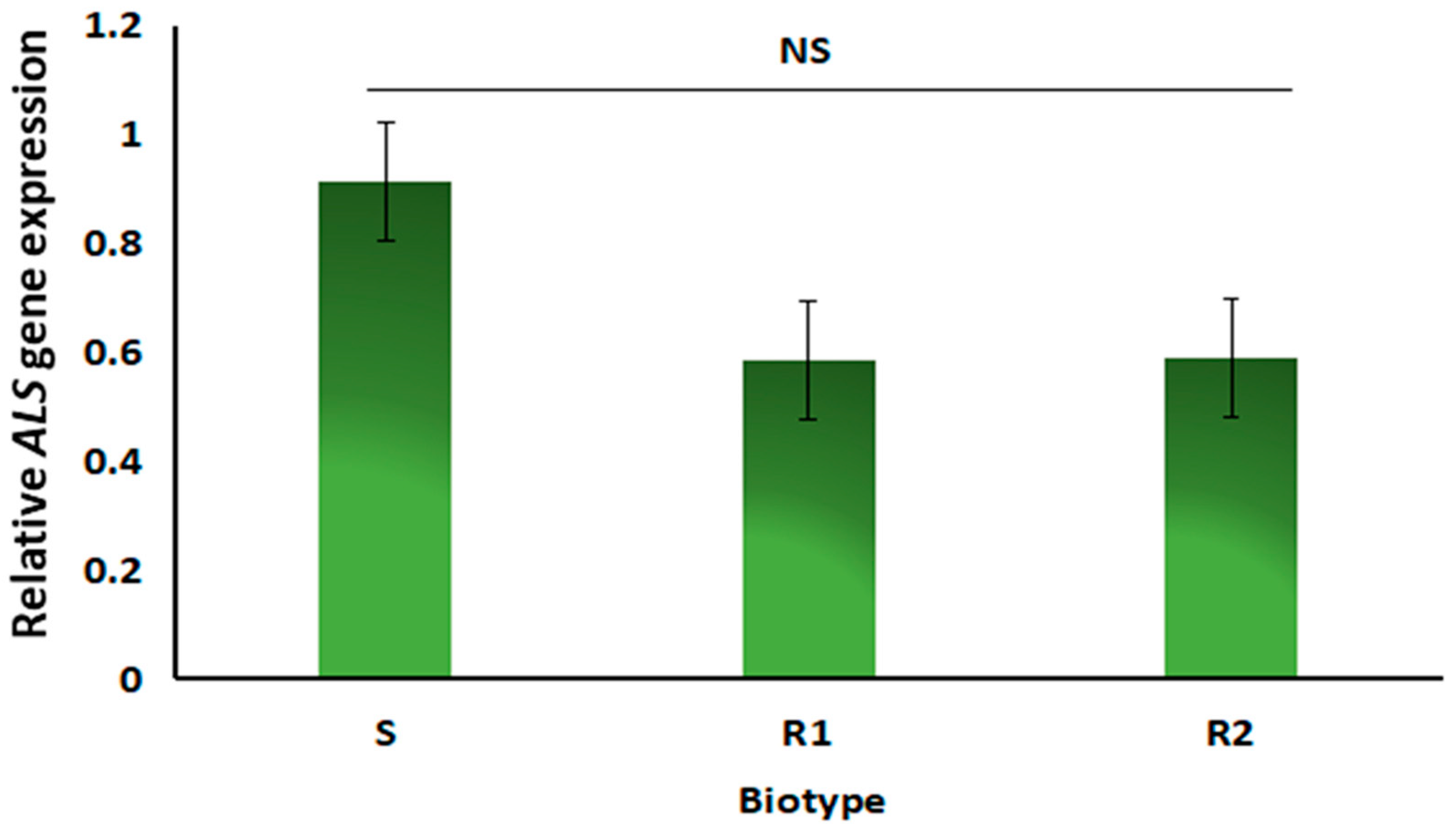 Plants 14 00074 g004