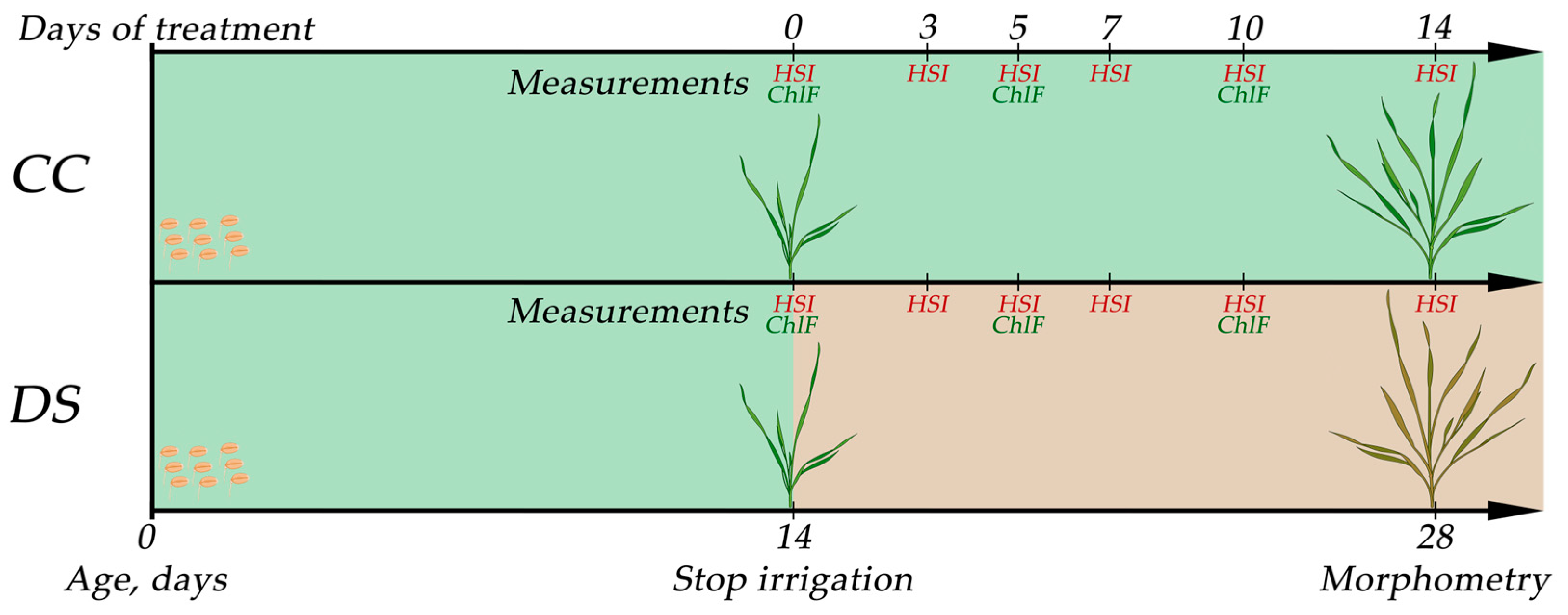 Plants 14 00091 g012