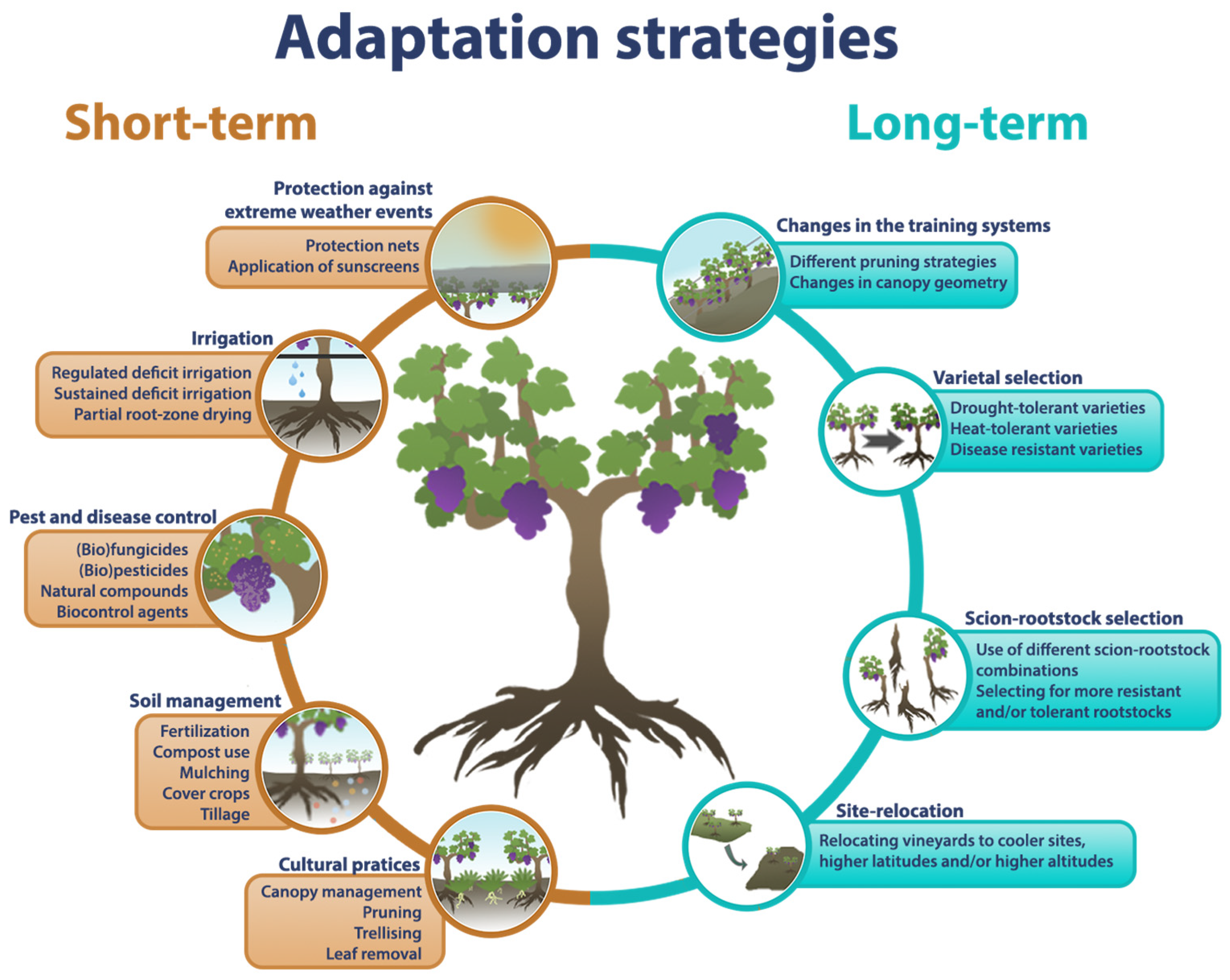 Plants 14 00104 g002