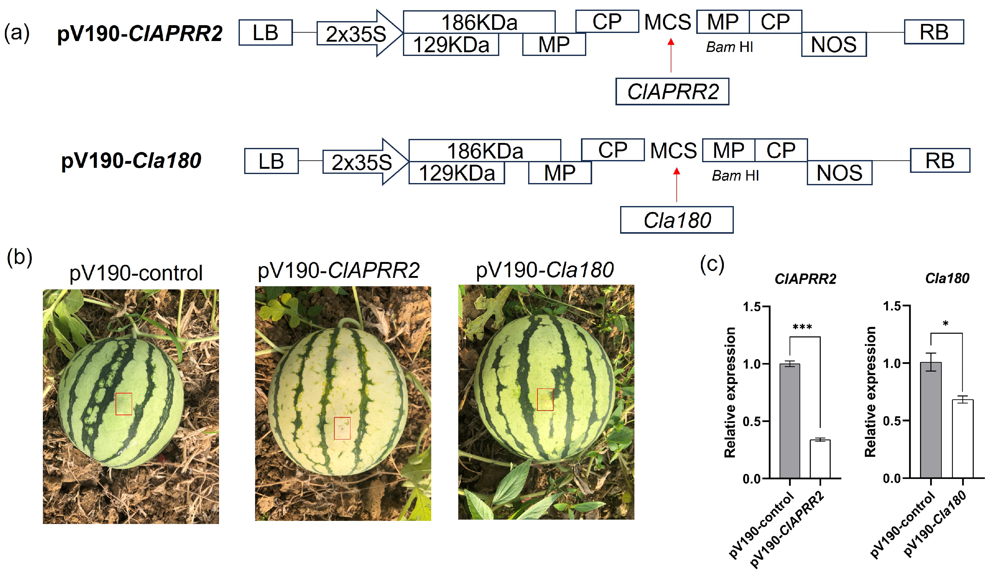 Plants 14 00113 g005