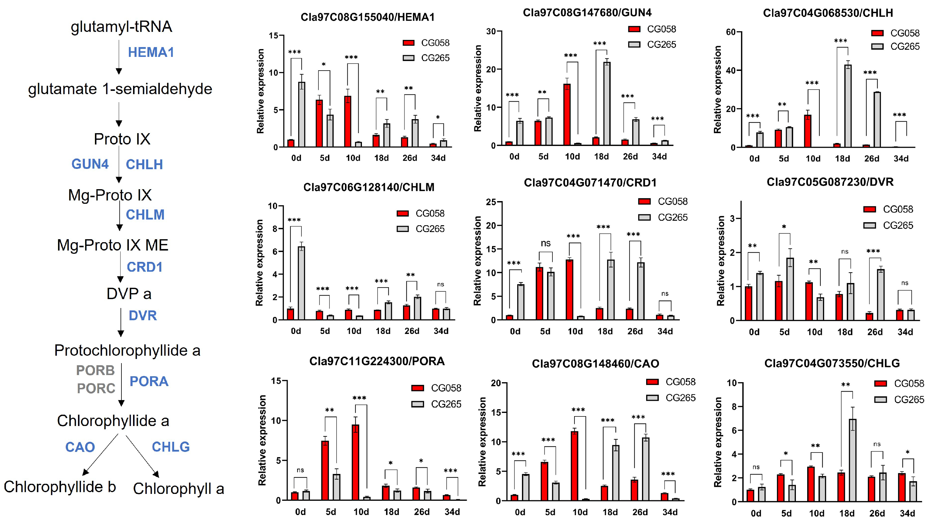 Plants 14 00113 g006