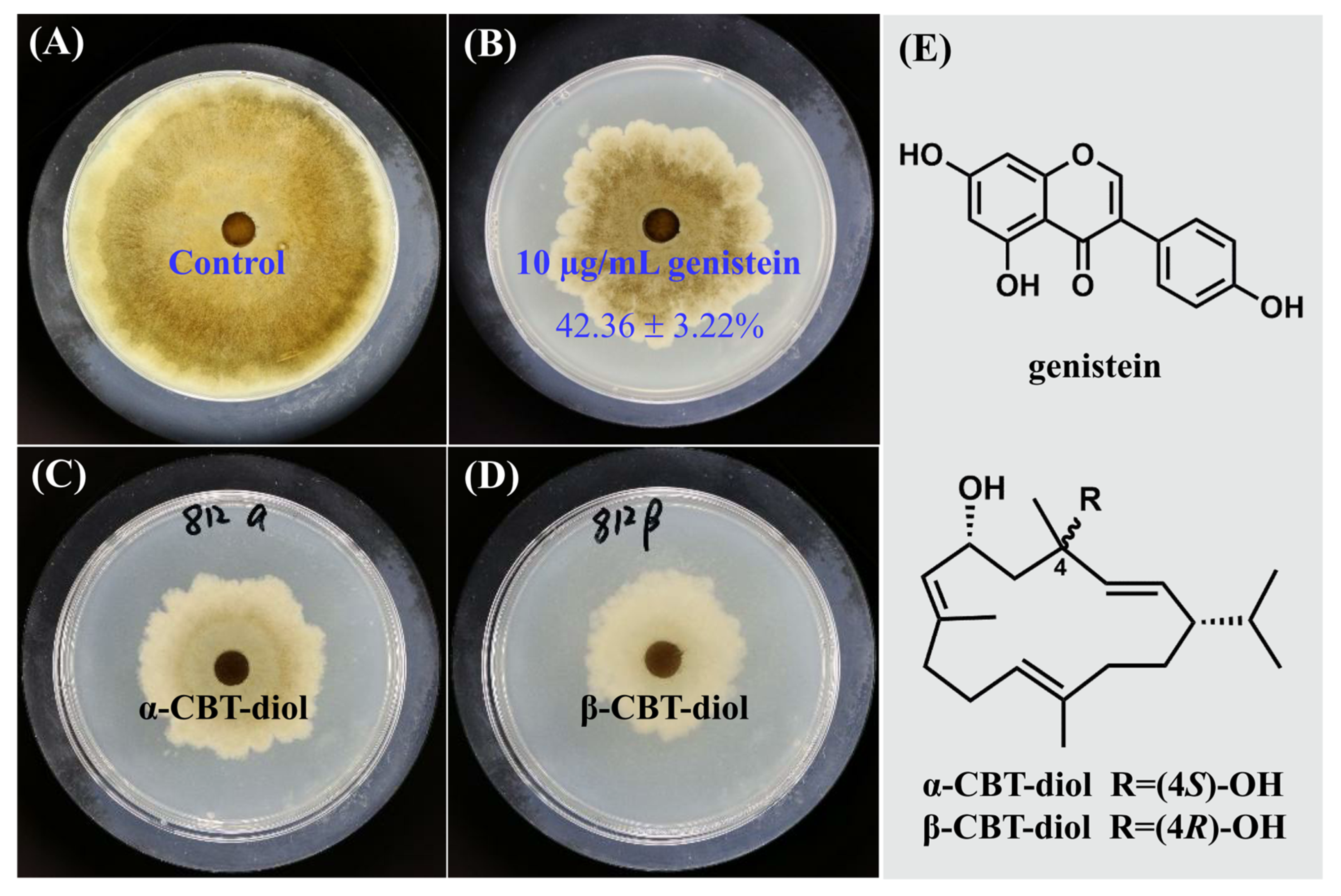 Plants 14 00120 g001