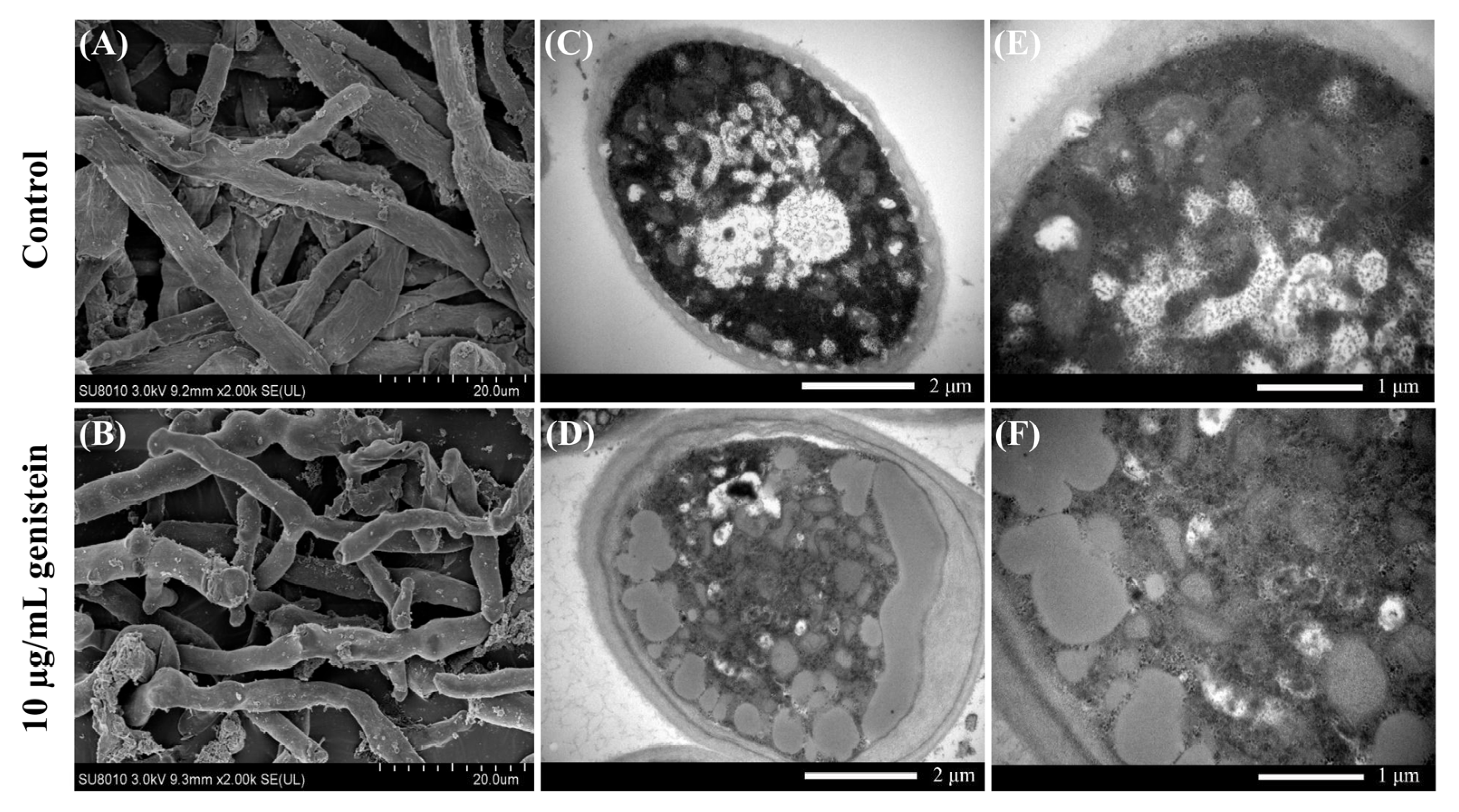 Plants 14 00120 g002