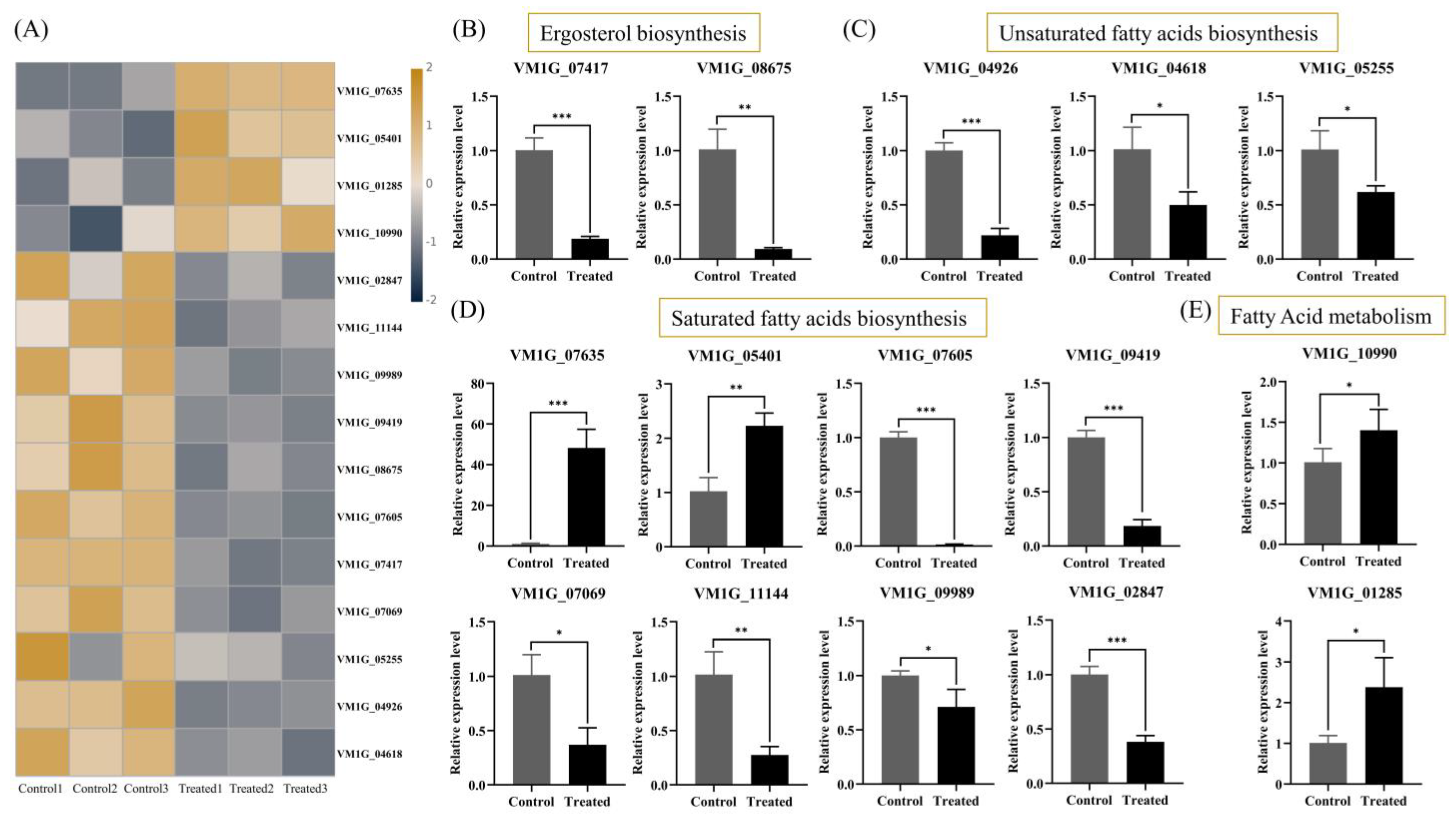 Plants 14 00120 g006