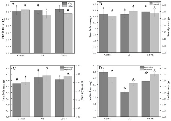 Plants 14 00125 g0a1