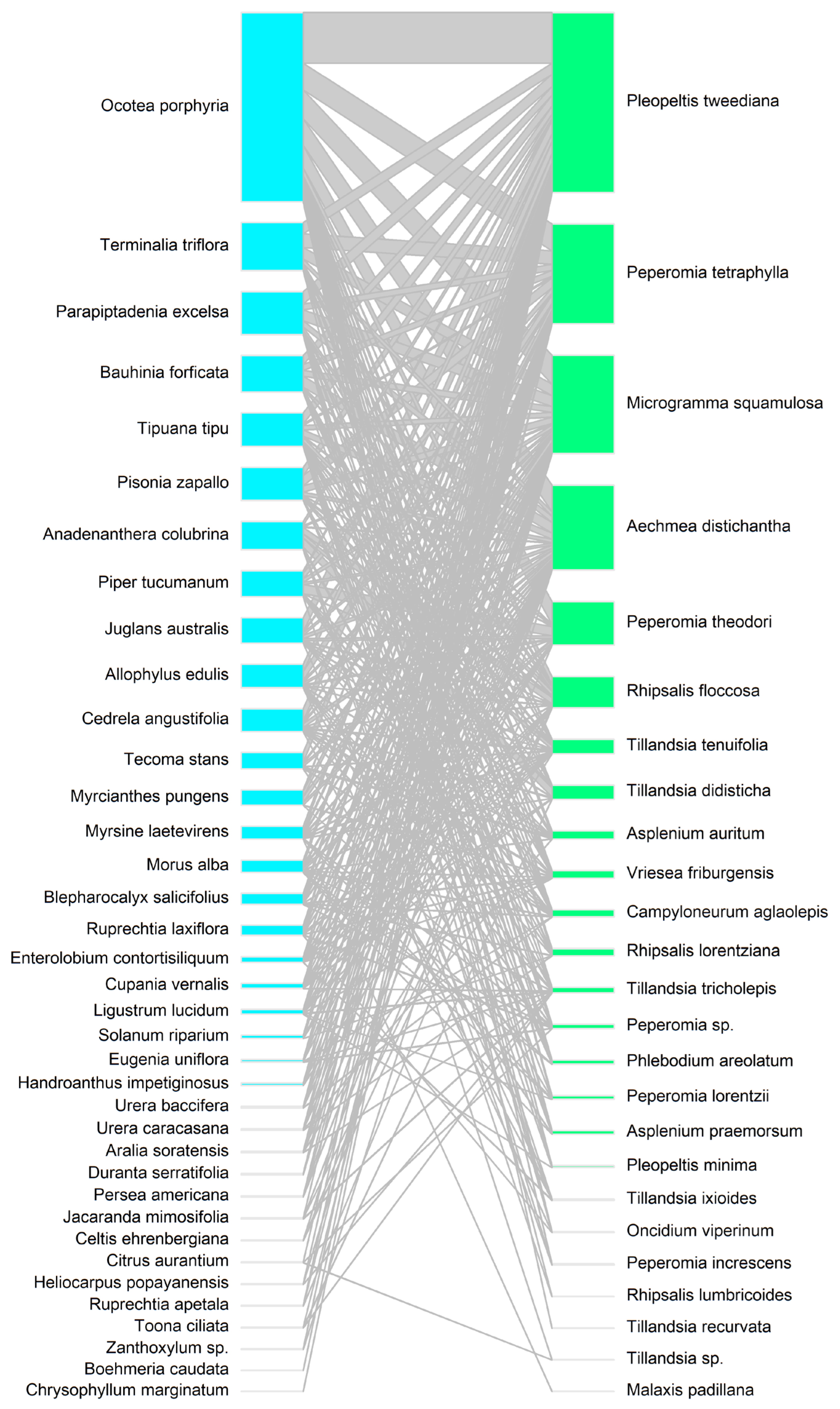 Plants 14 00140 g005