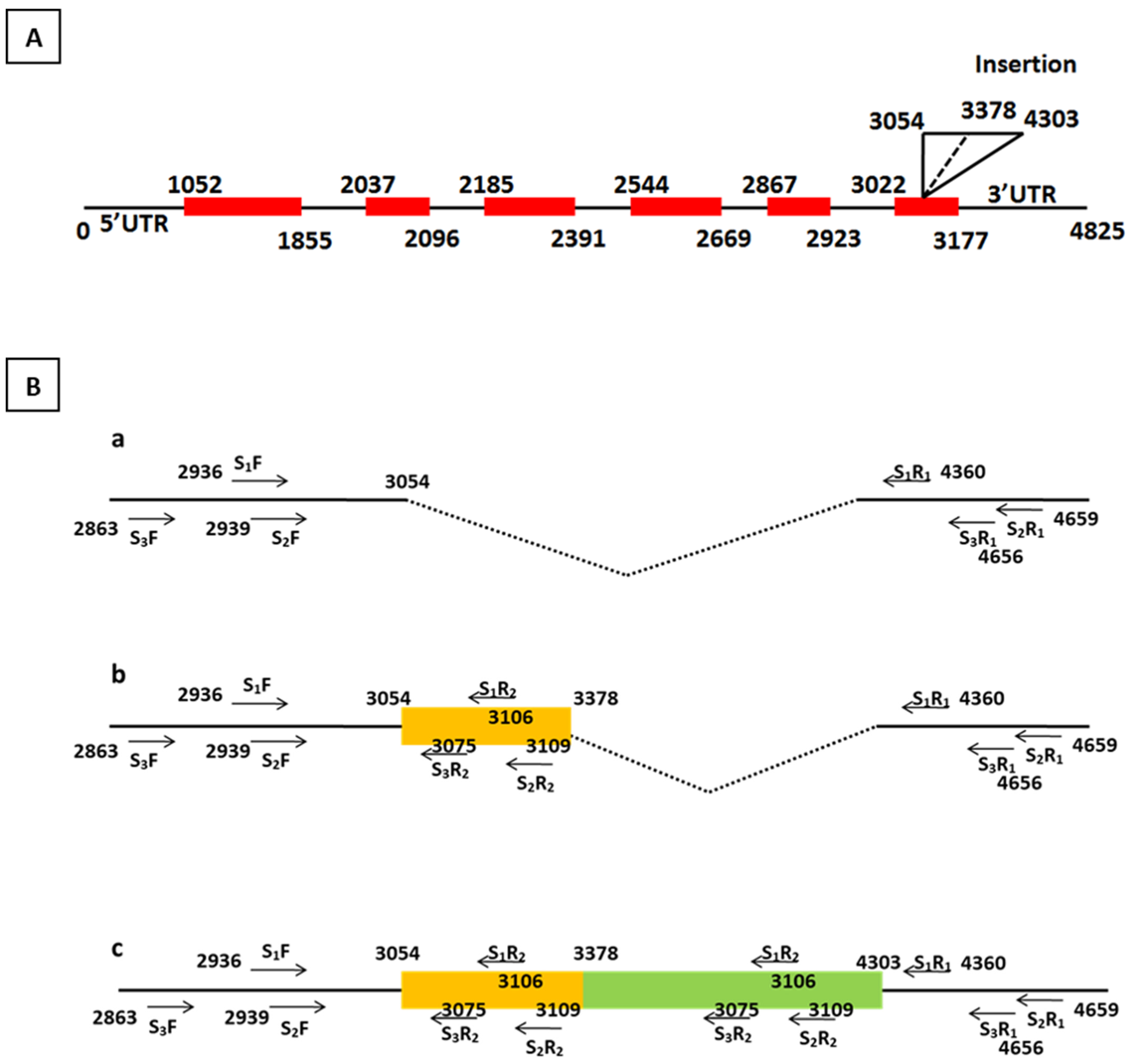 Plants 14 00142 g001