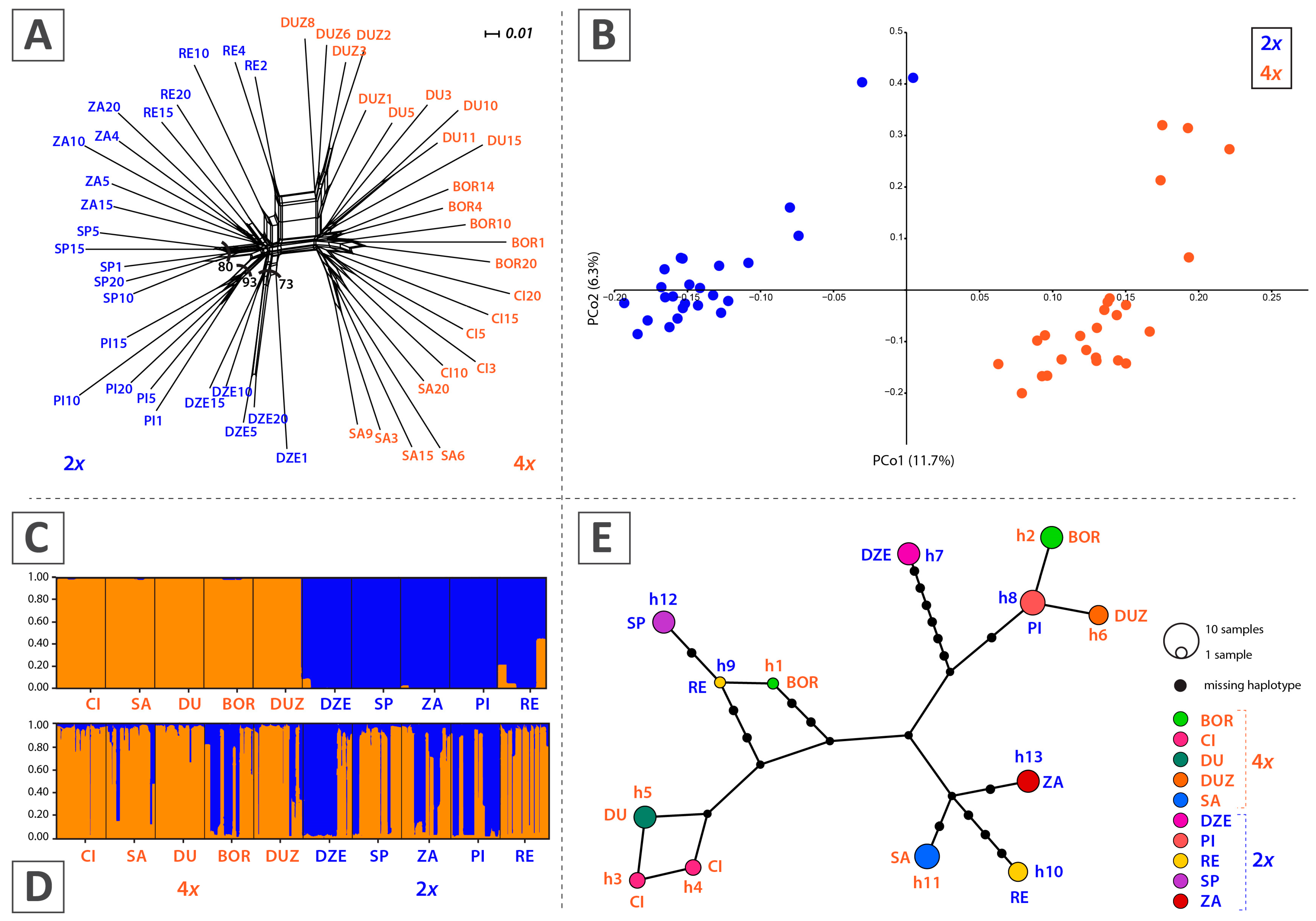 Plants 14 00146 g002