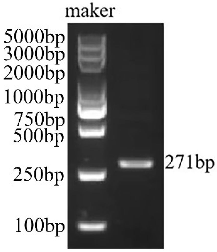 Plants 14 00150 g001