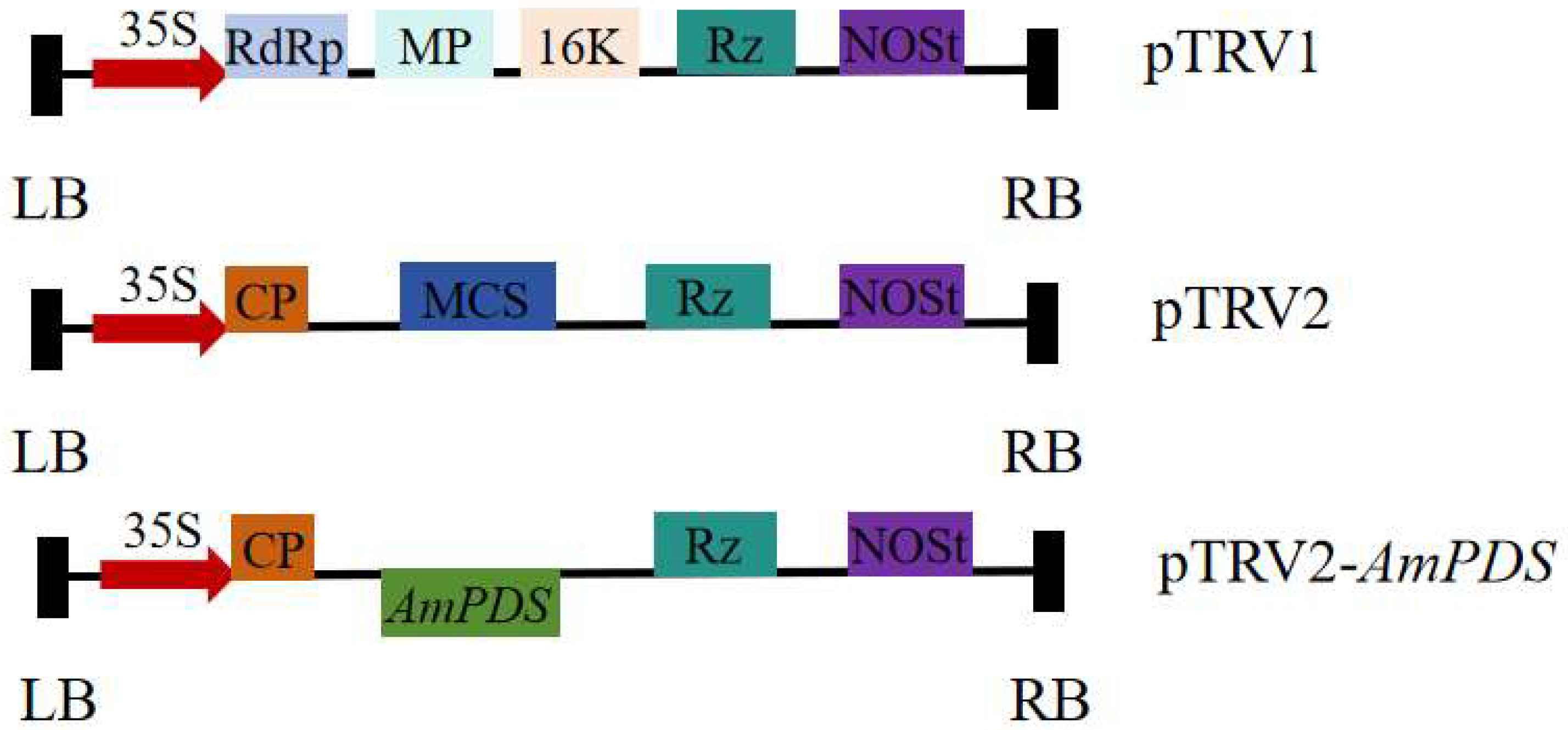 Plants 14 00150 g002