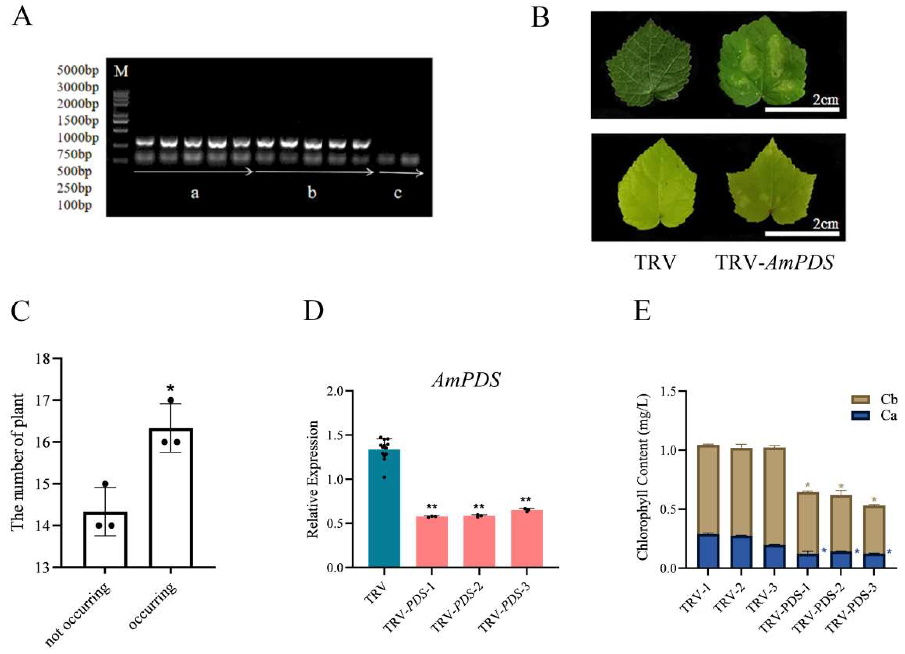 Plants 14 00150 g003
