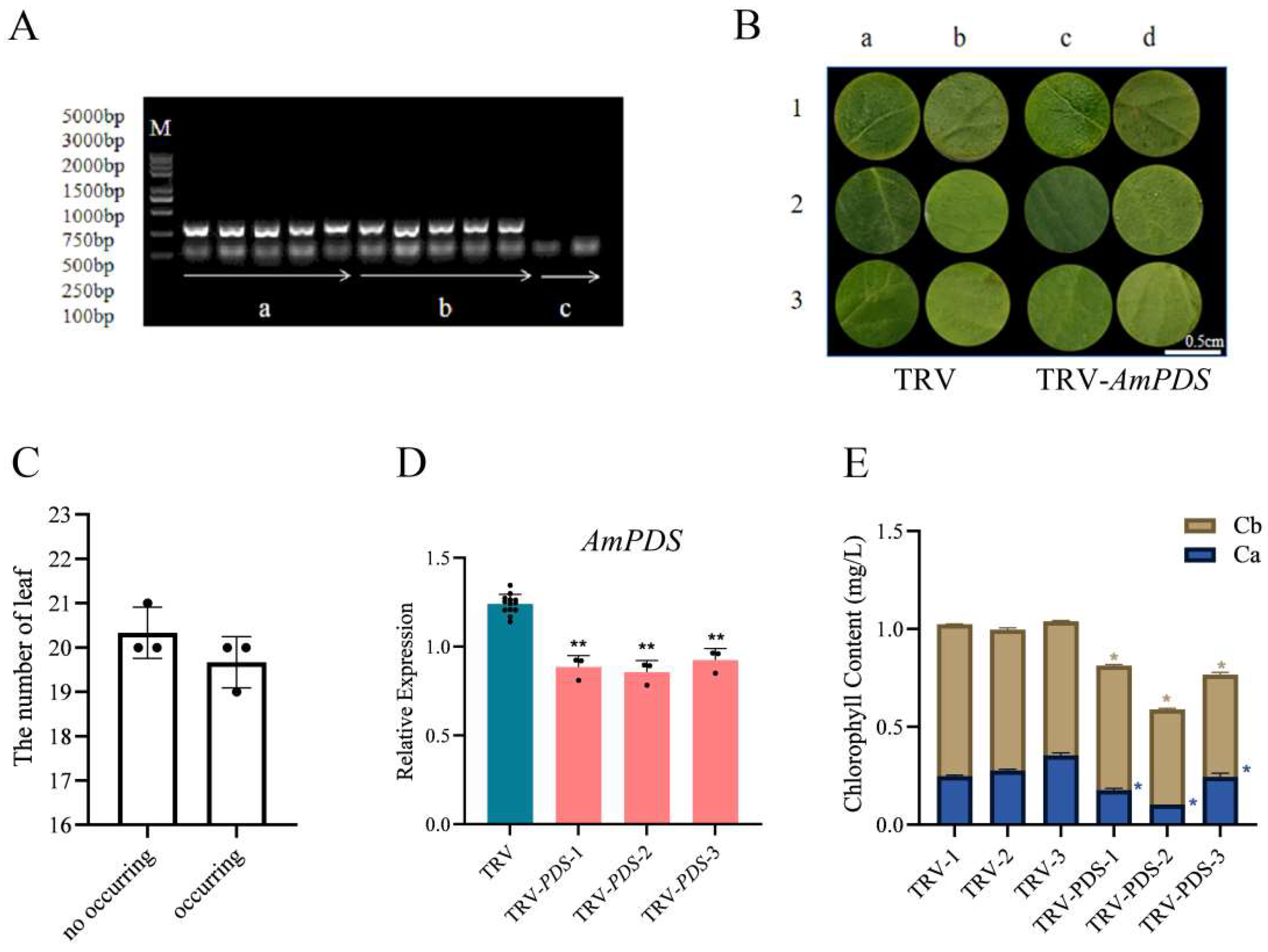 Plants 14 00150 g004