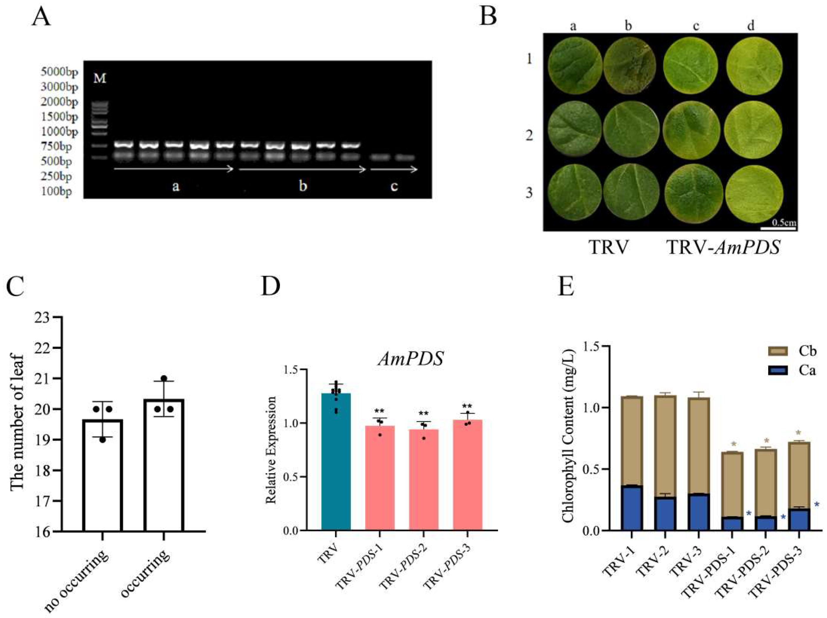 Plants 14 00150 g005