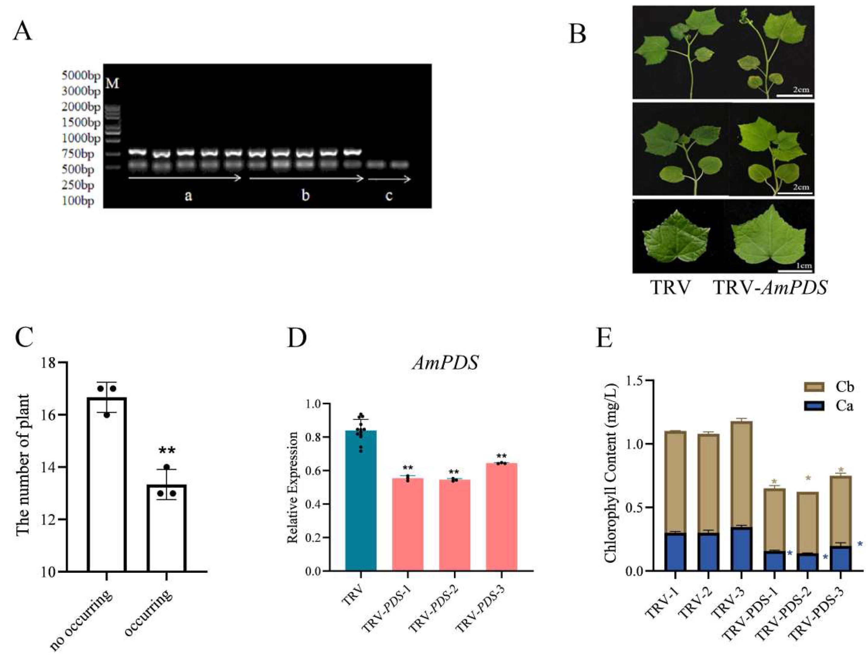 Plants 14 00150 g006