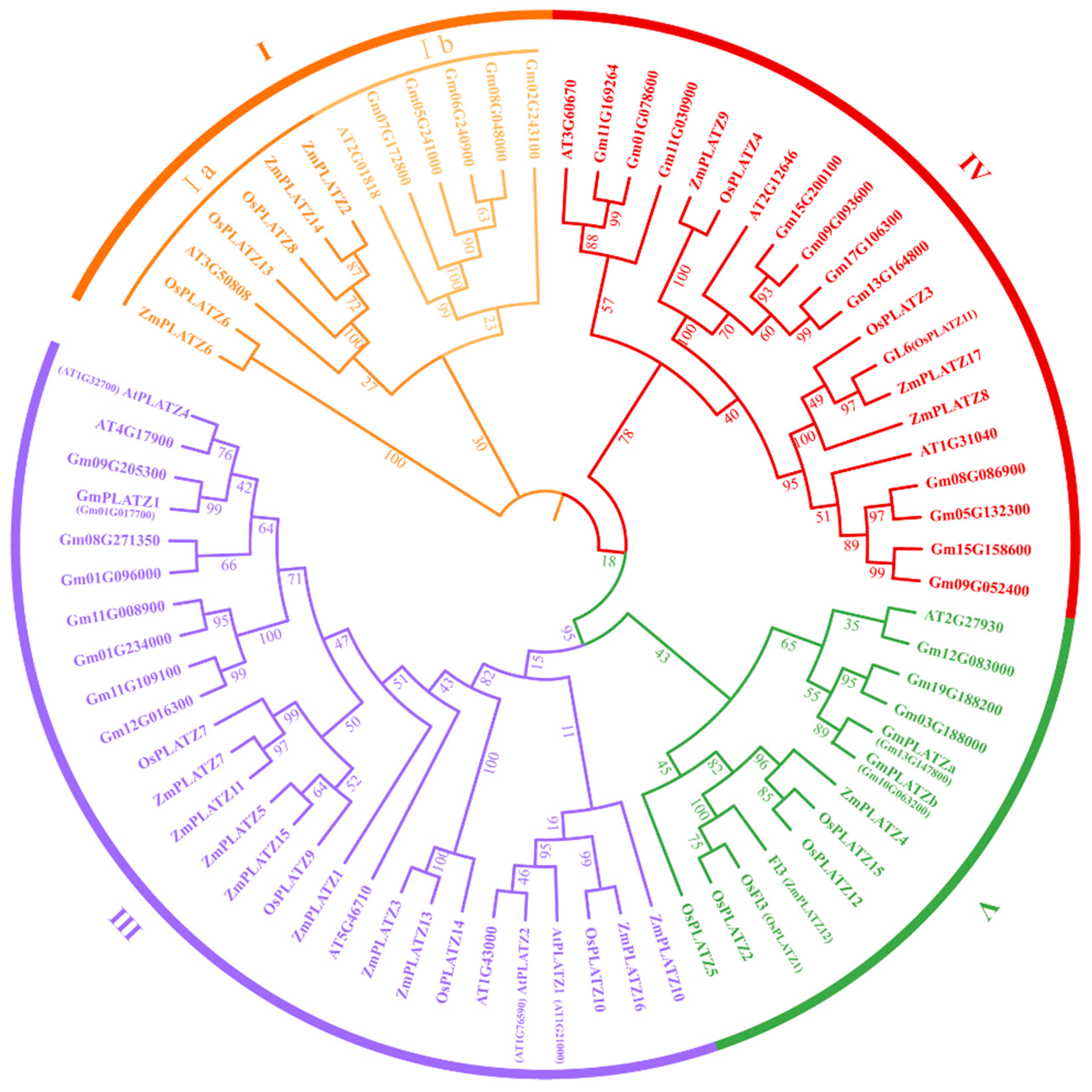 Plants 14 00151 g002
