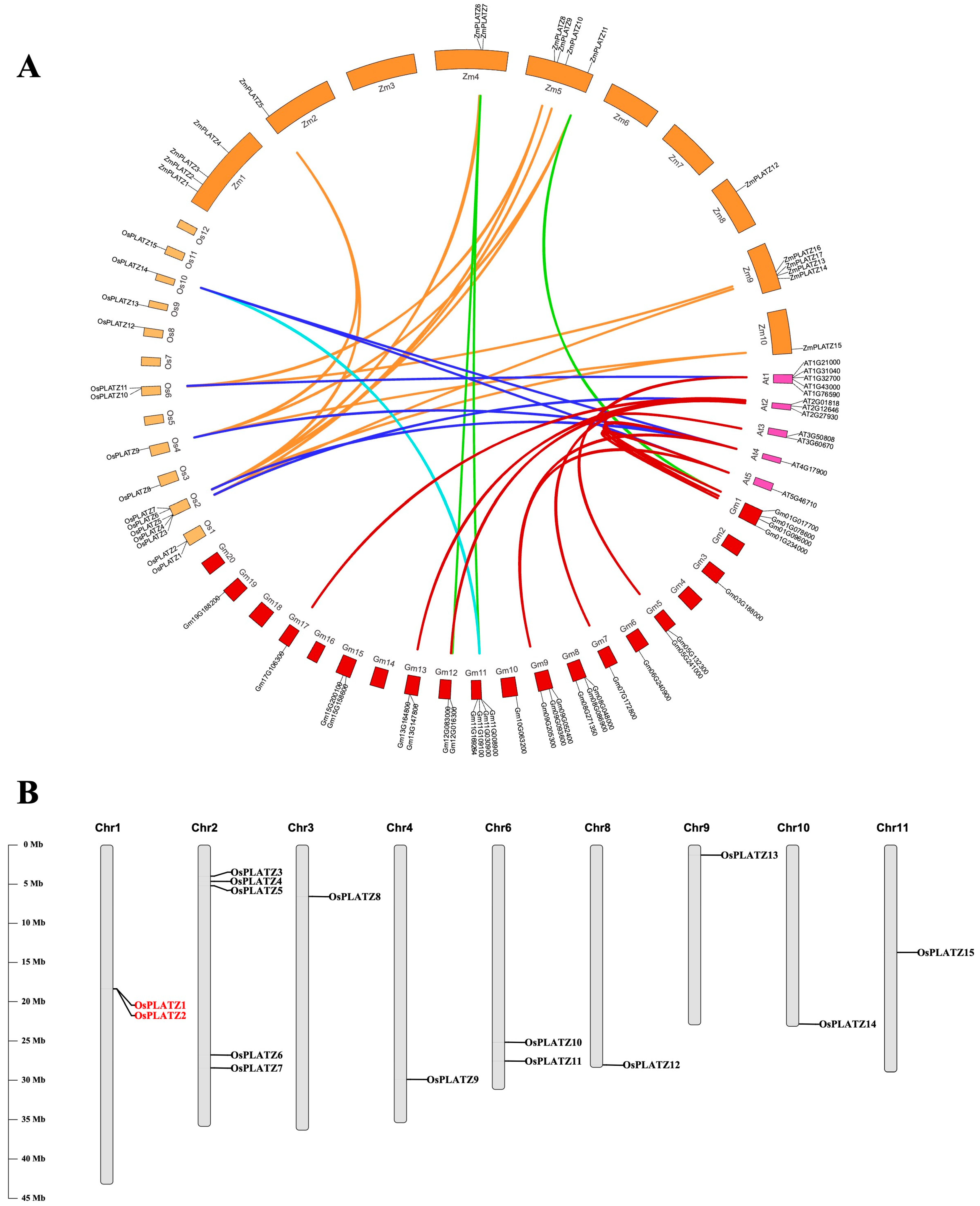 Plants 14 00151 g003