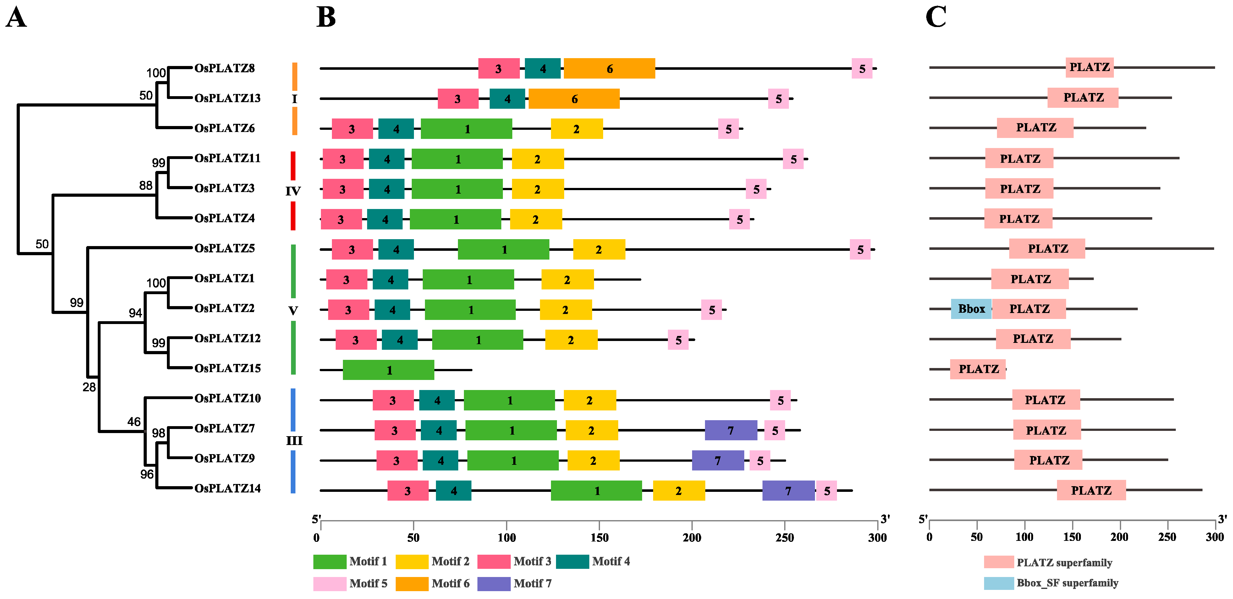 Plants 14 00151 g004