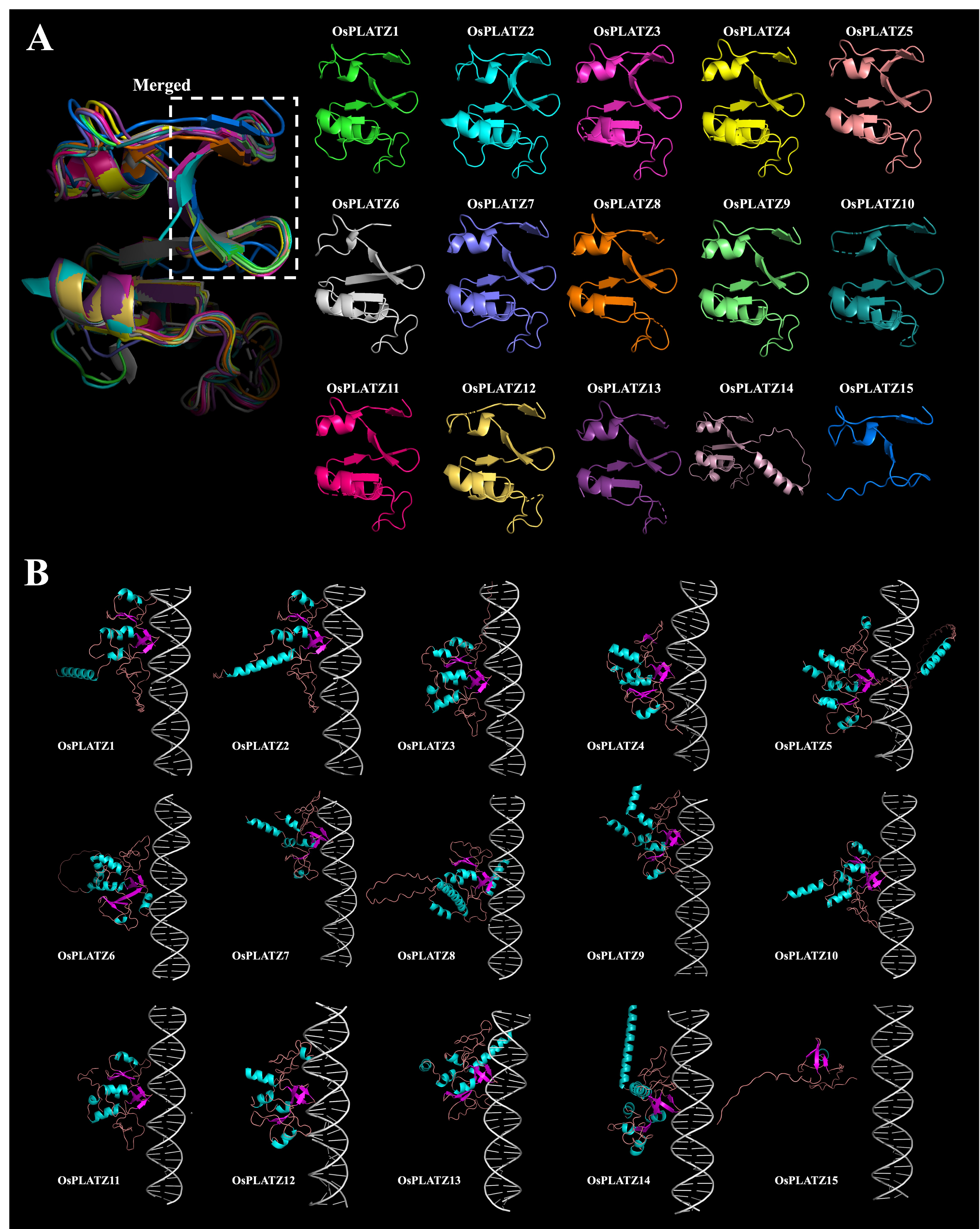 Plants 14 00151 g006