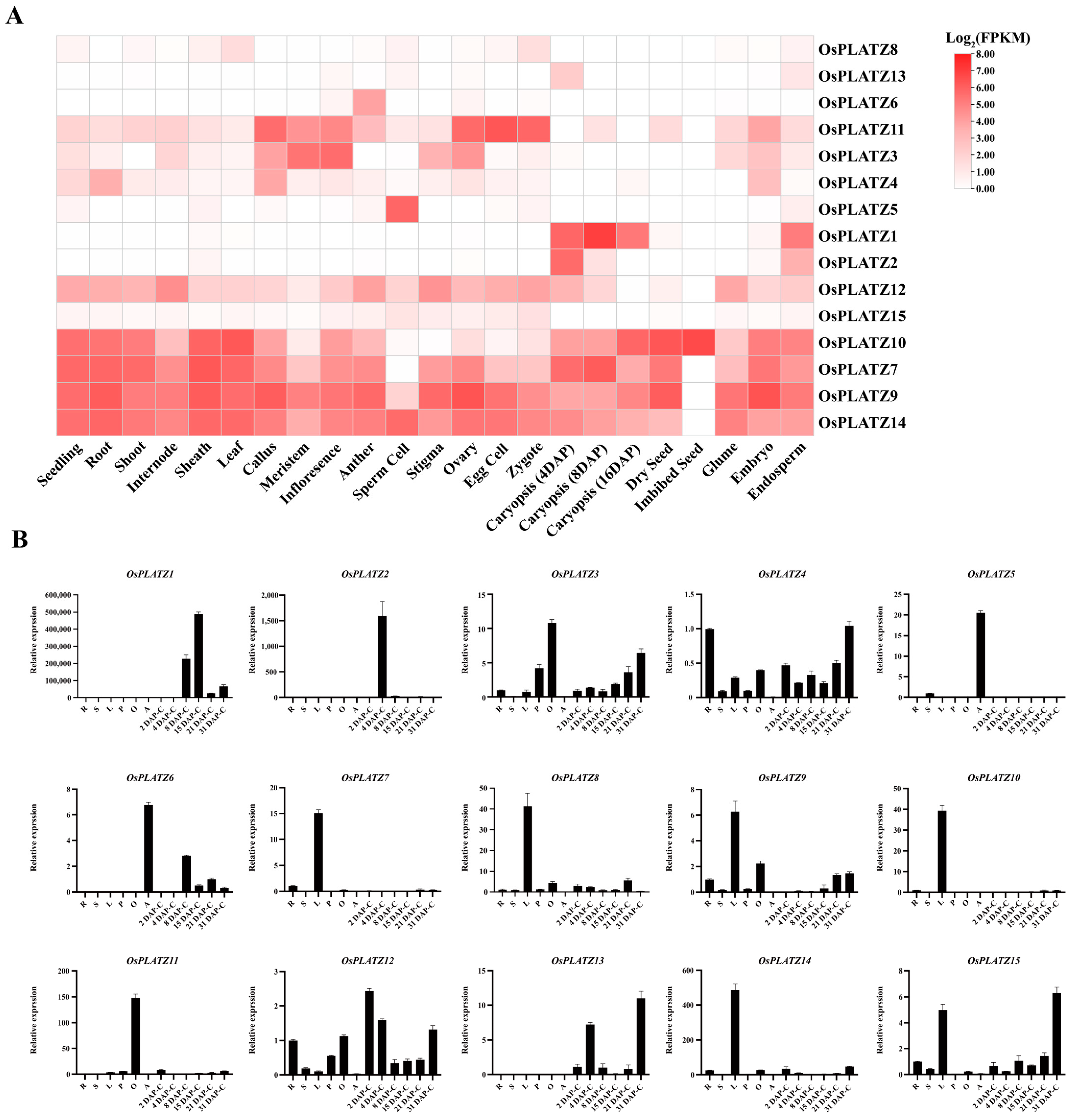 Plants 14 00151 g007