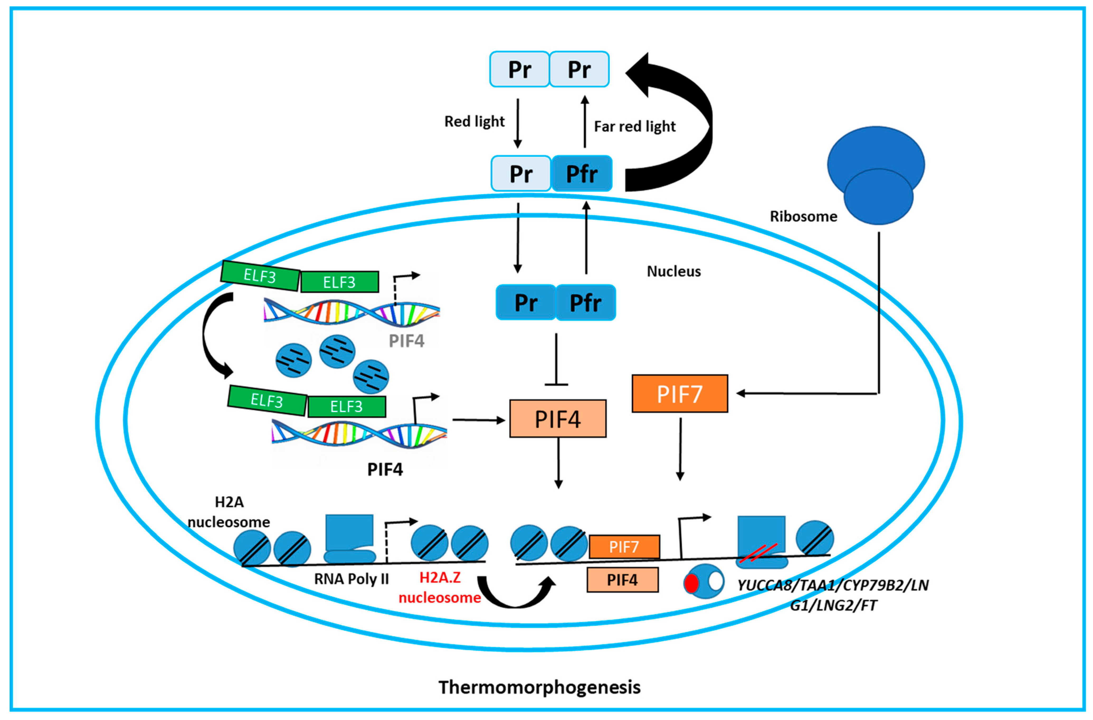 Plants 14 00152 g003
