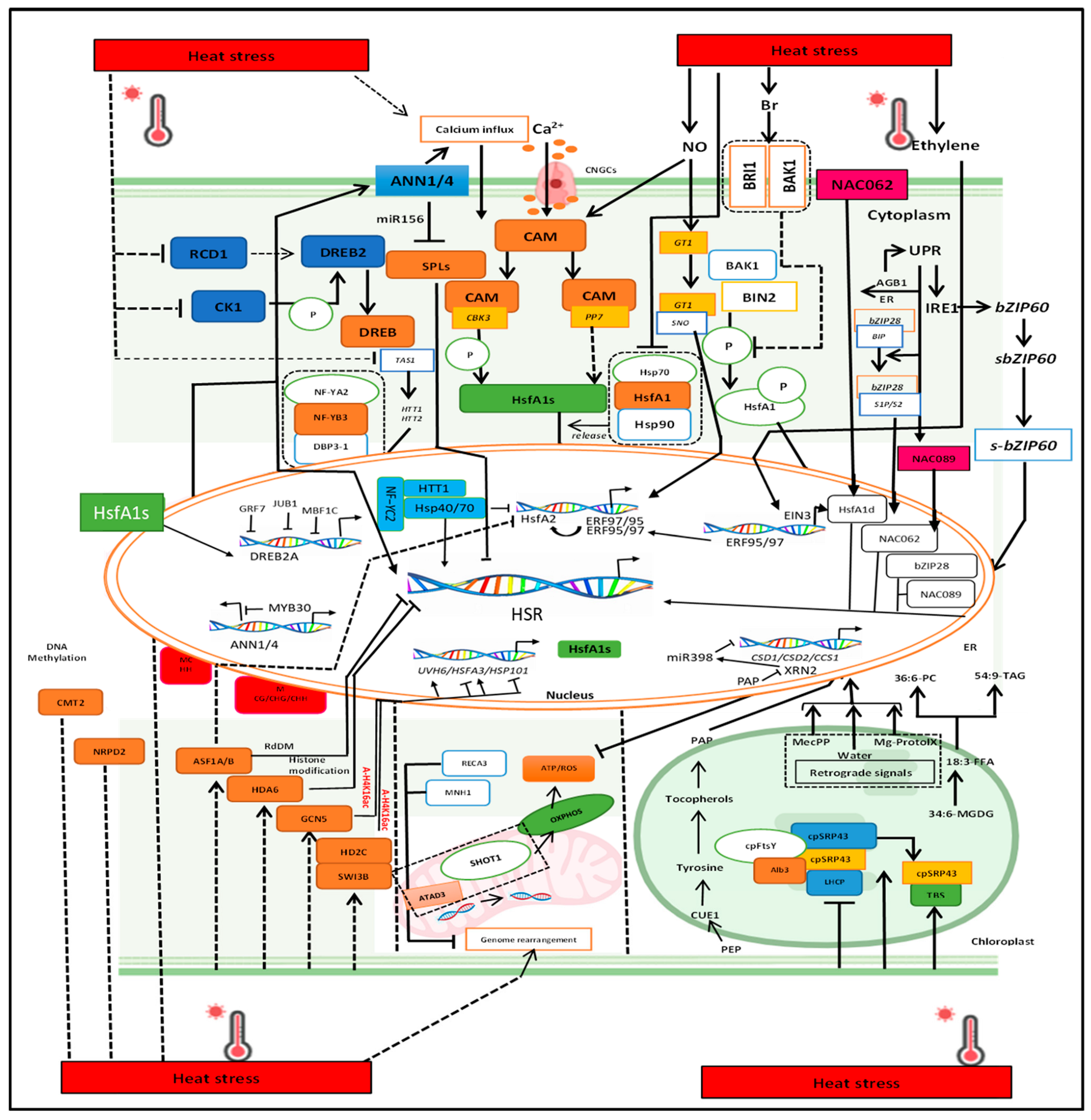 Plants 14 00152 g005