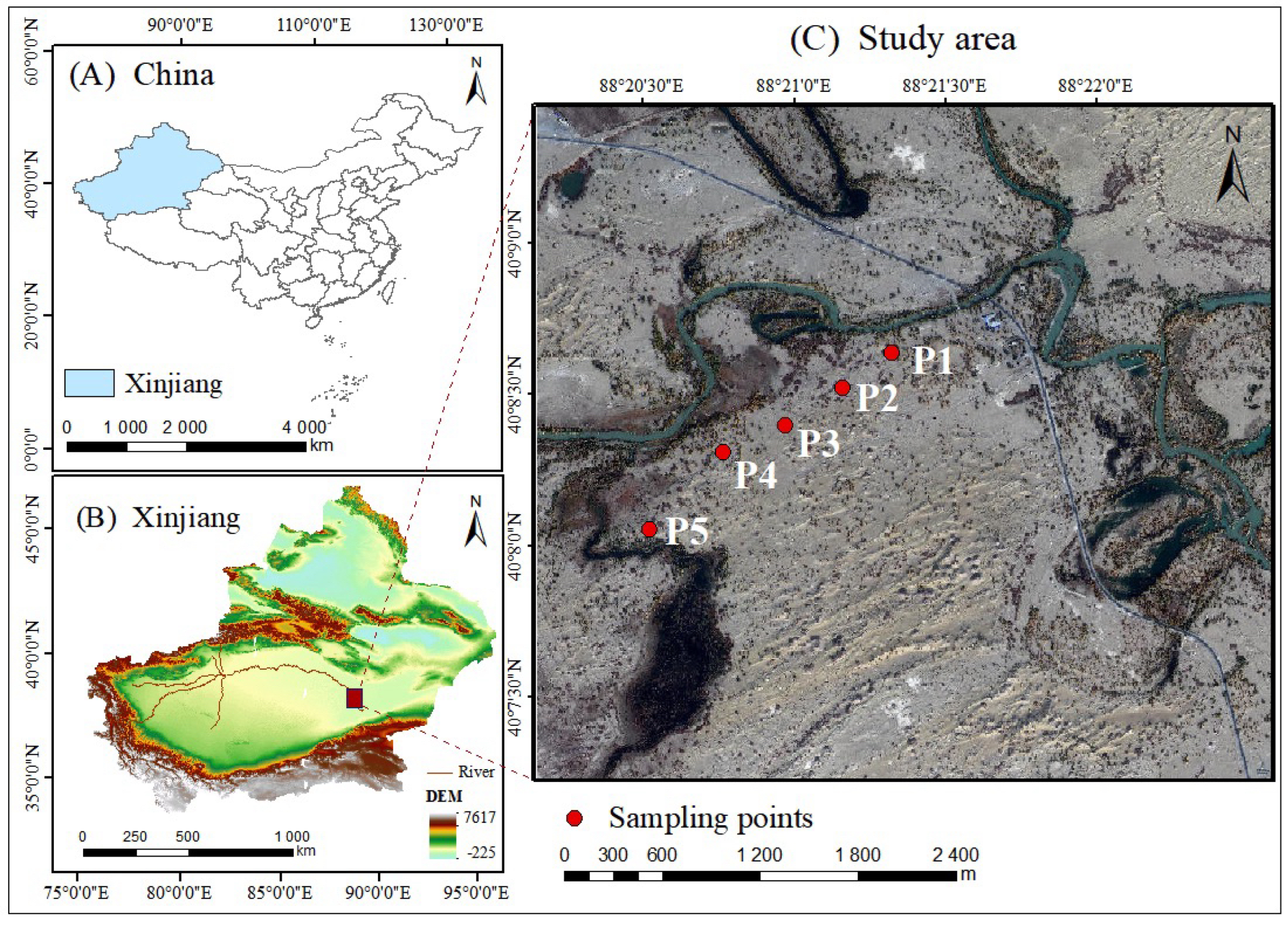 Plants 14 00154 g006