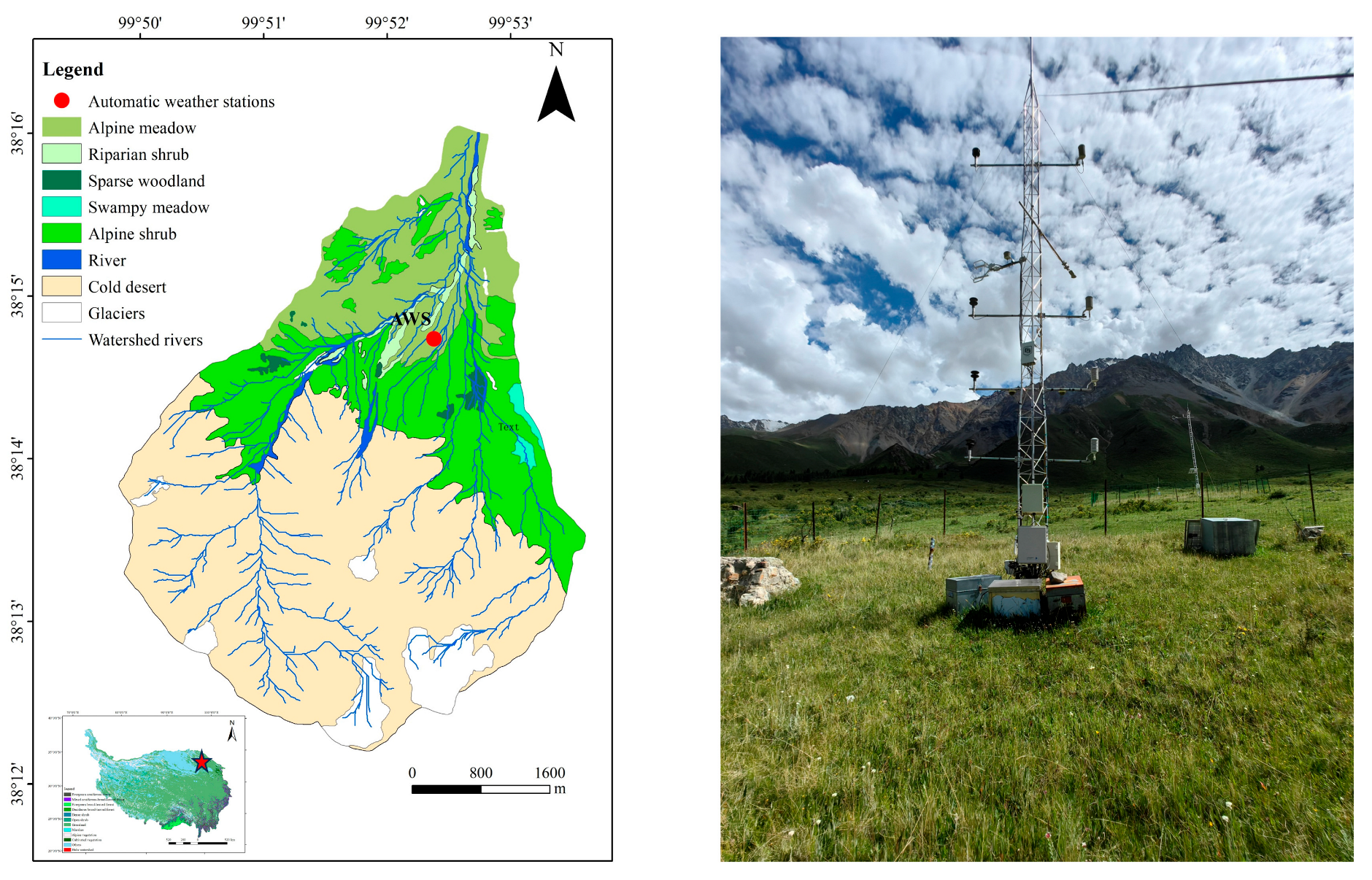 Plants 14 00155 g008