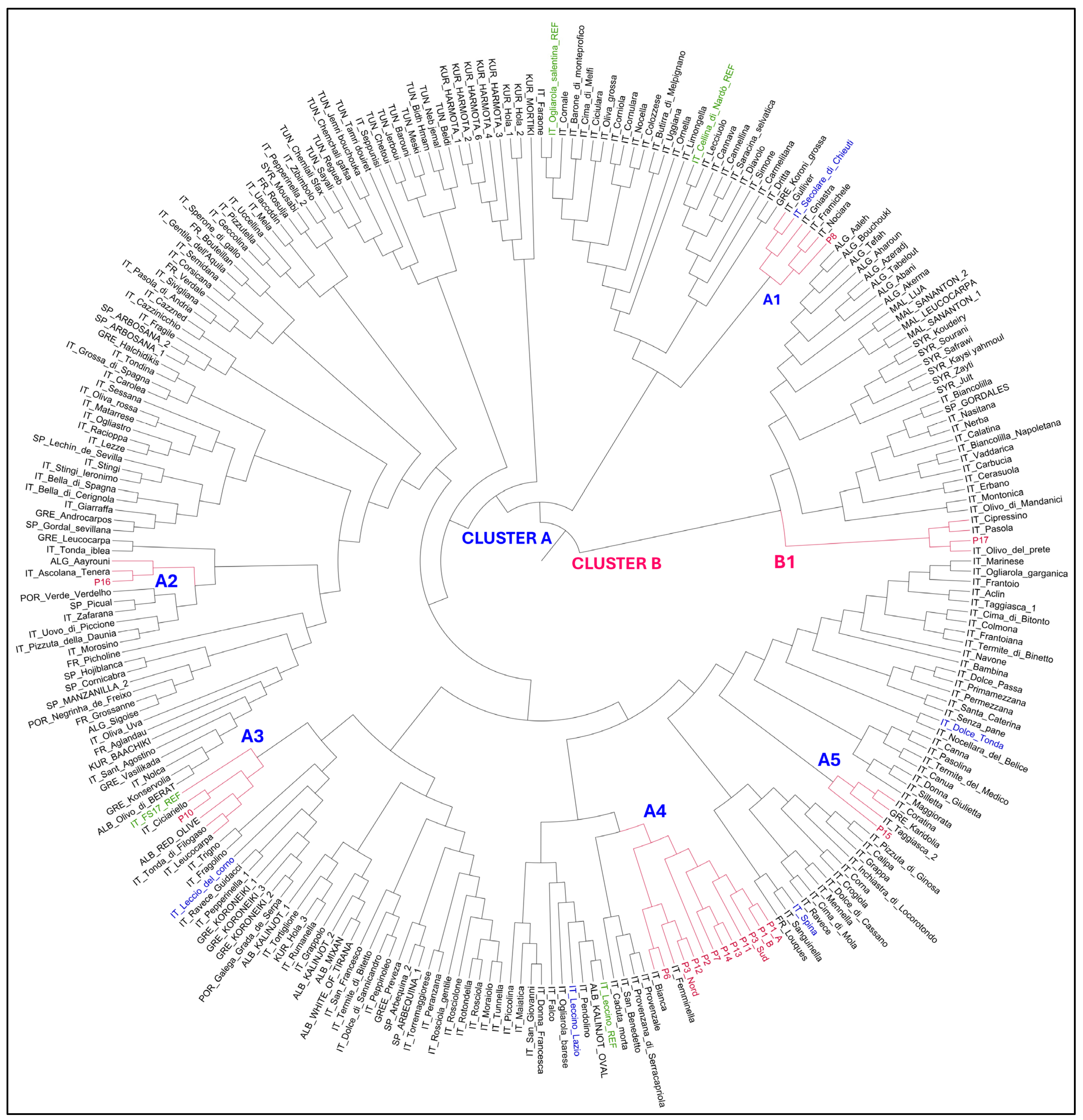 Plants 14 00157 g001
