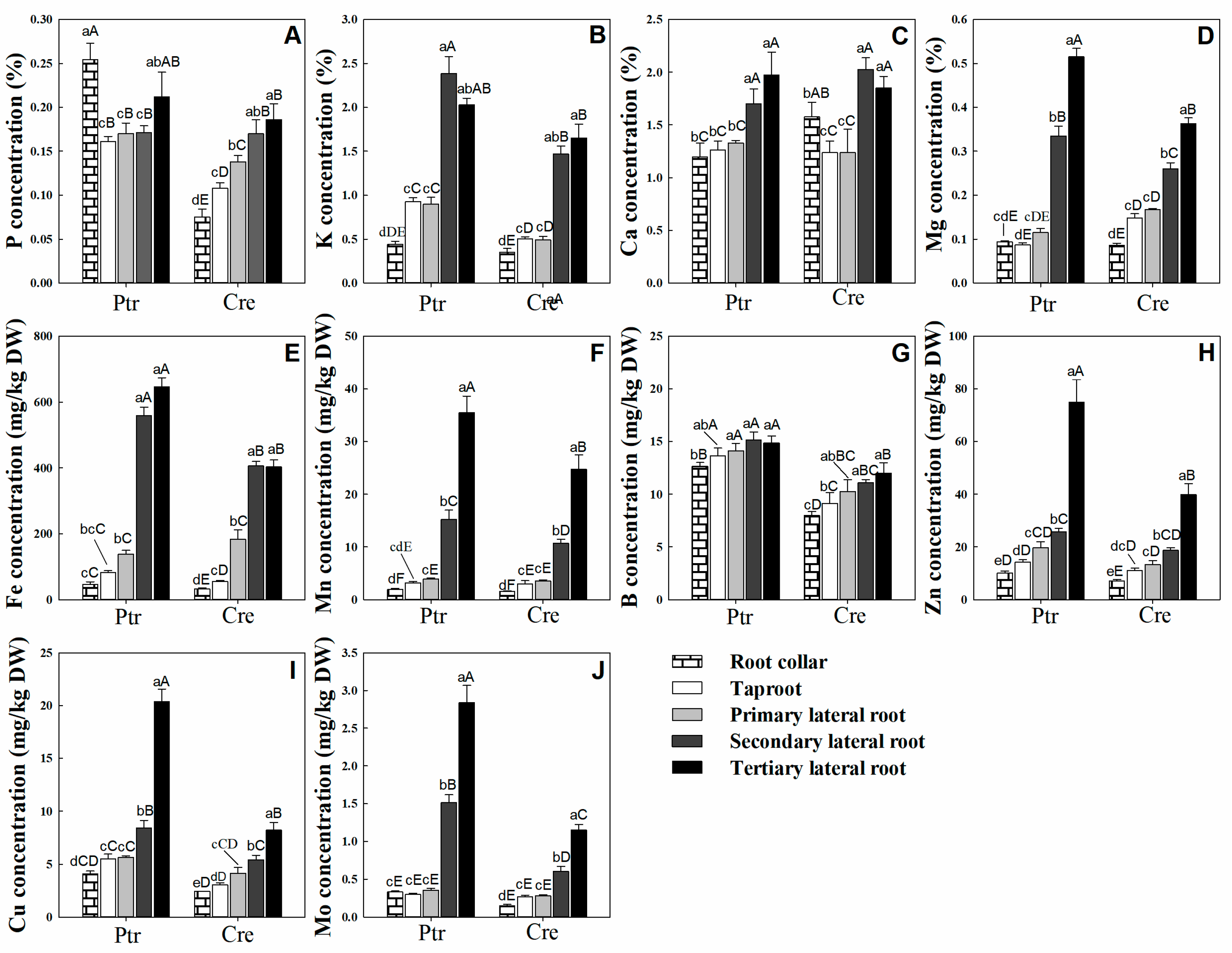 Plants 14 00158 g001