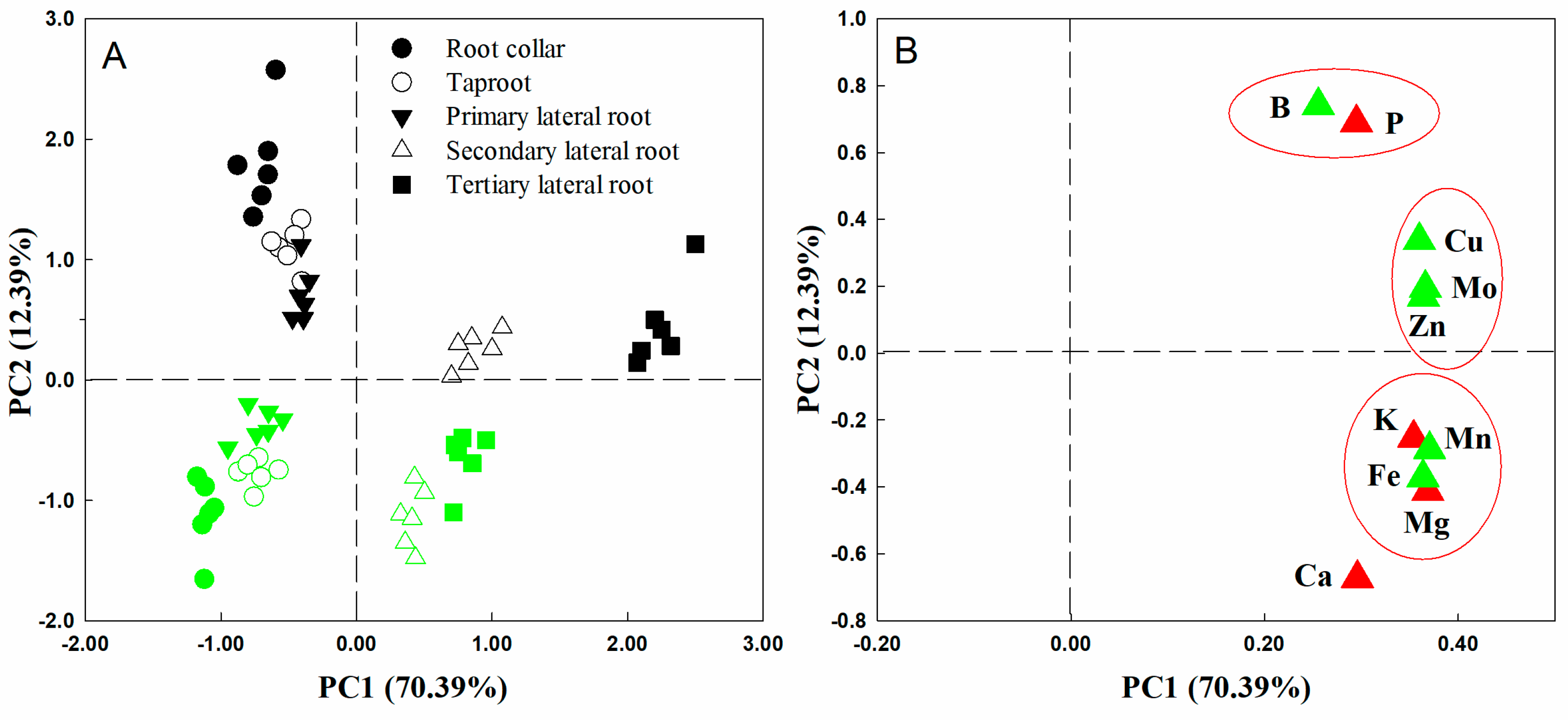 Plants 14 00158 g002
