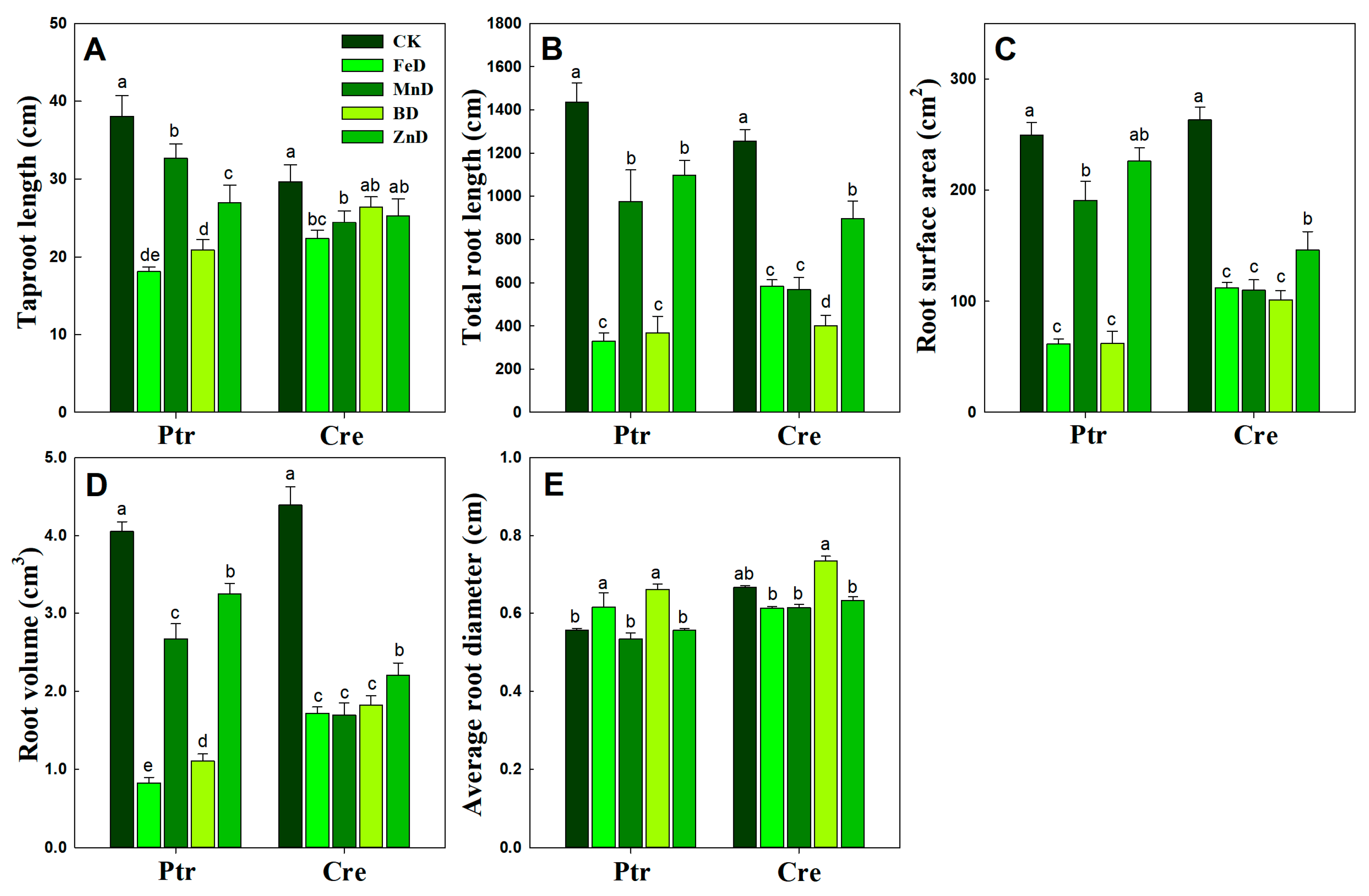 Plants 14 00158 g004