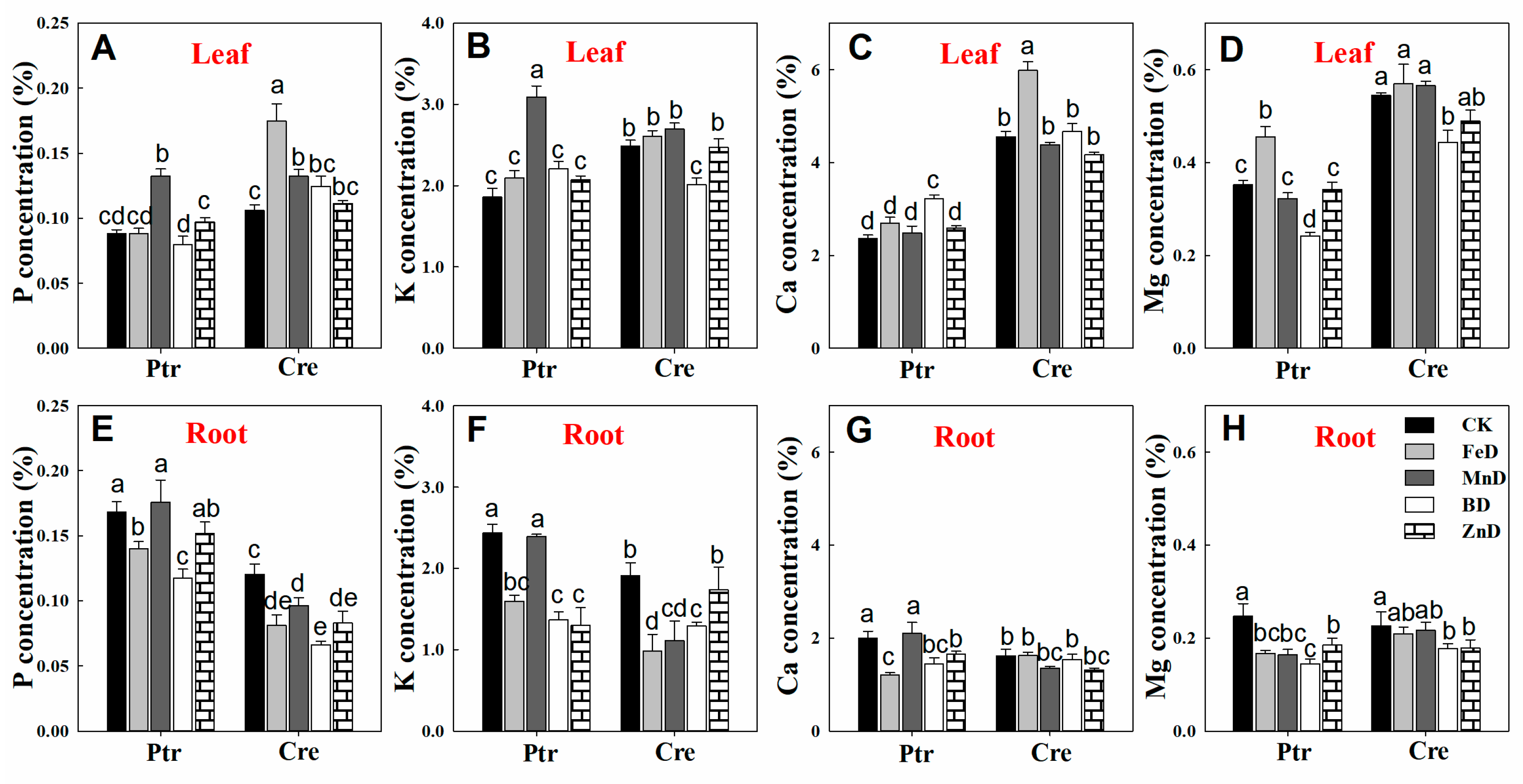 Plants 14 00158 g007