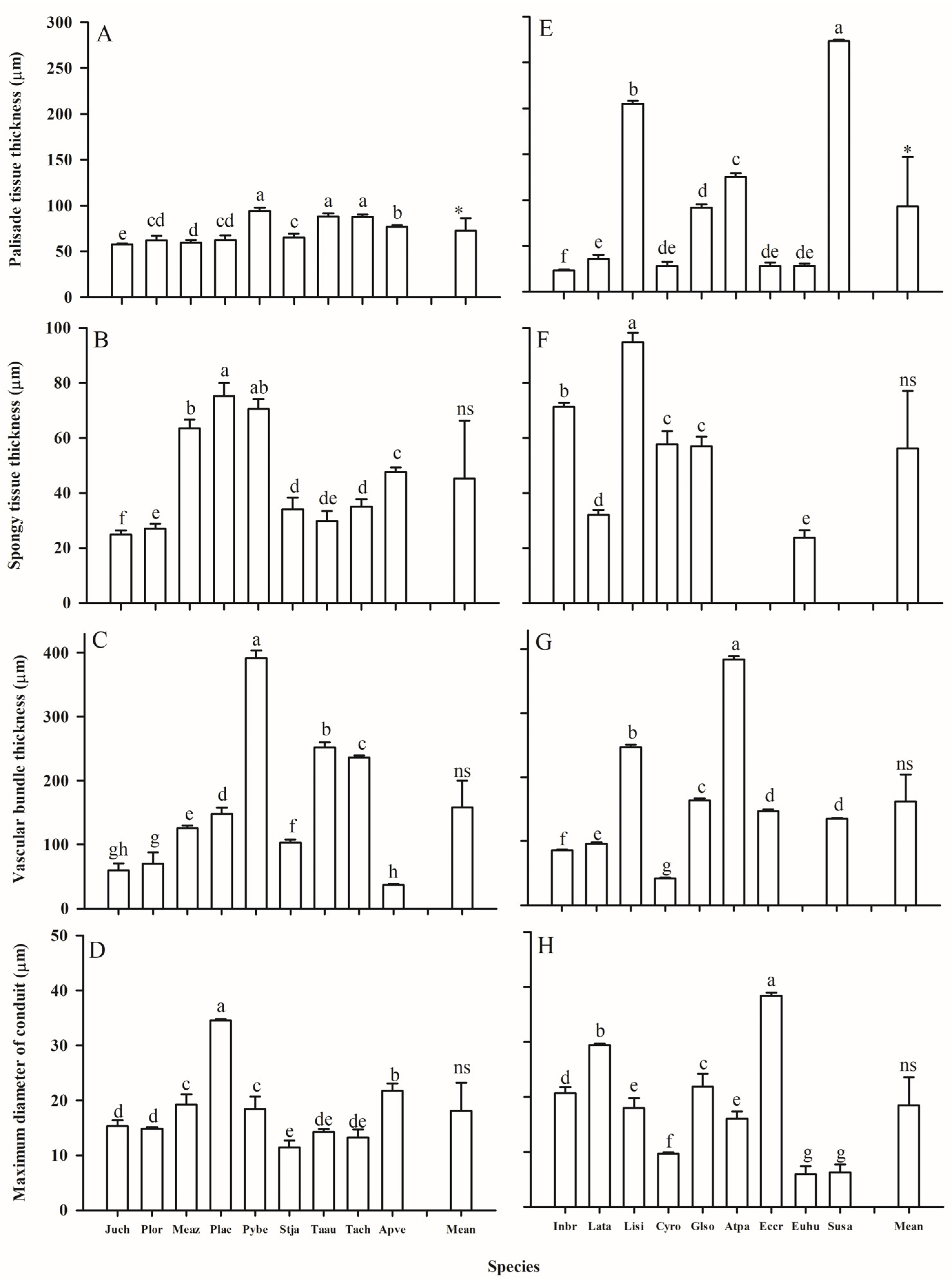 Plants 14 00159 g005
