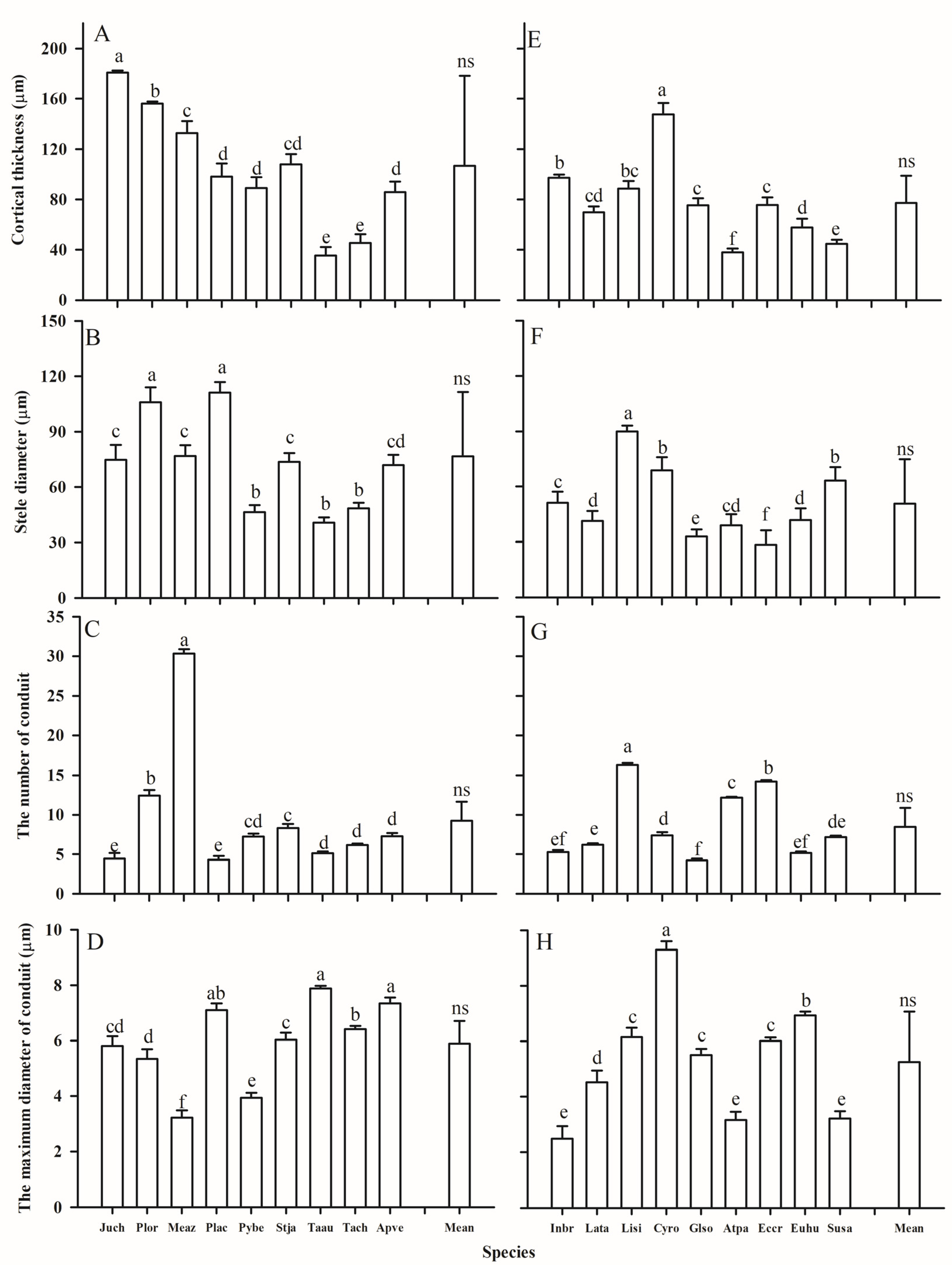 Plants 14 00159 g006