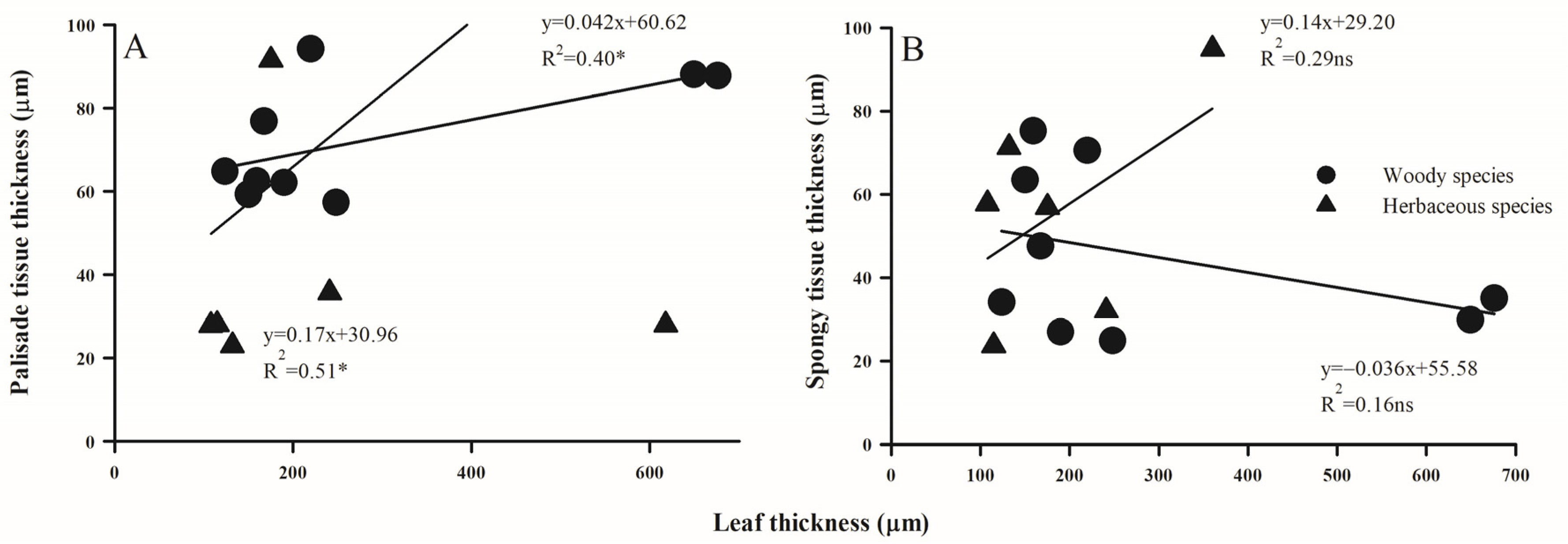 Plants 14 00159 g007
