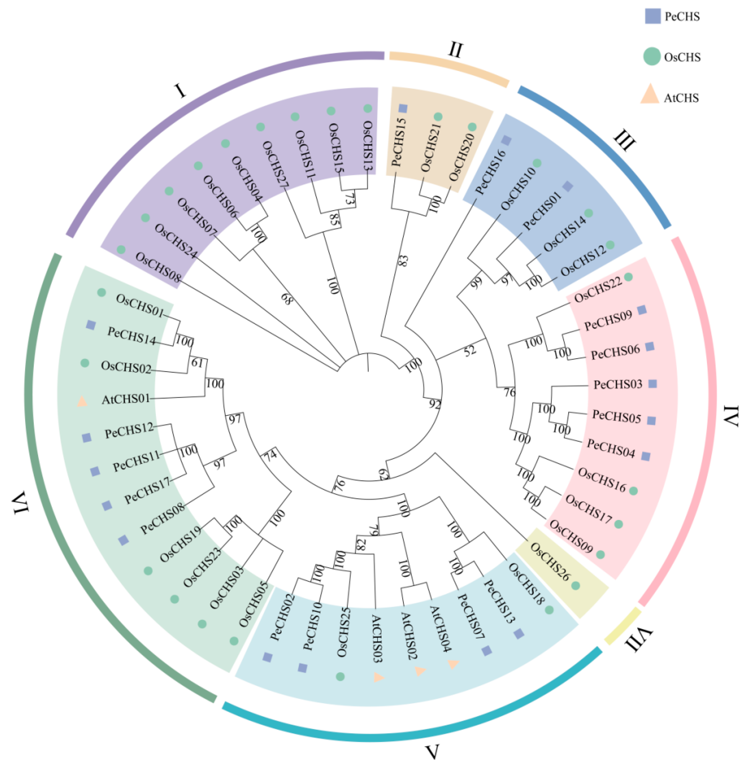 Plants 14 00161 g001