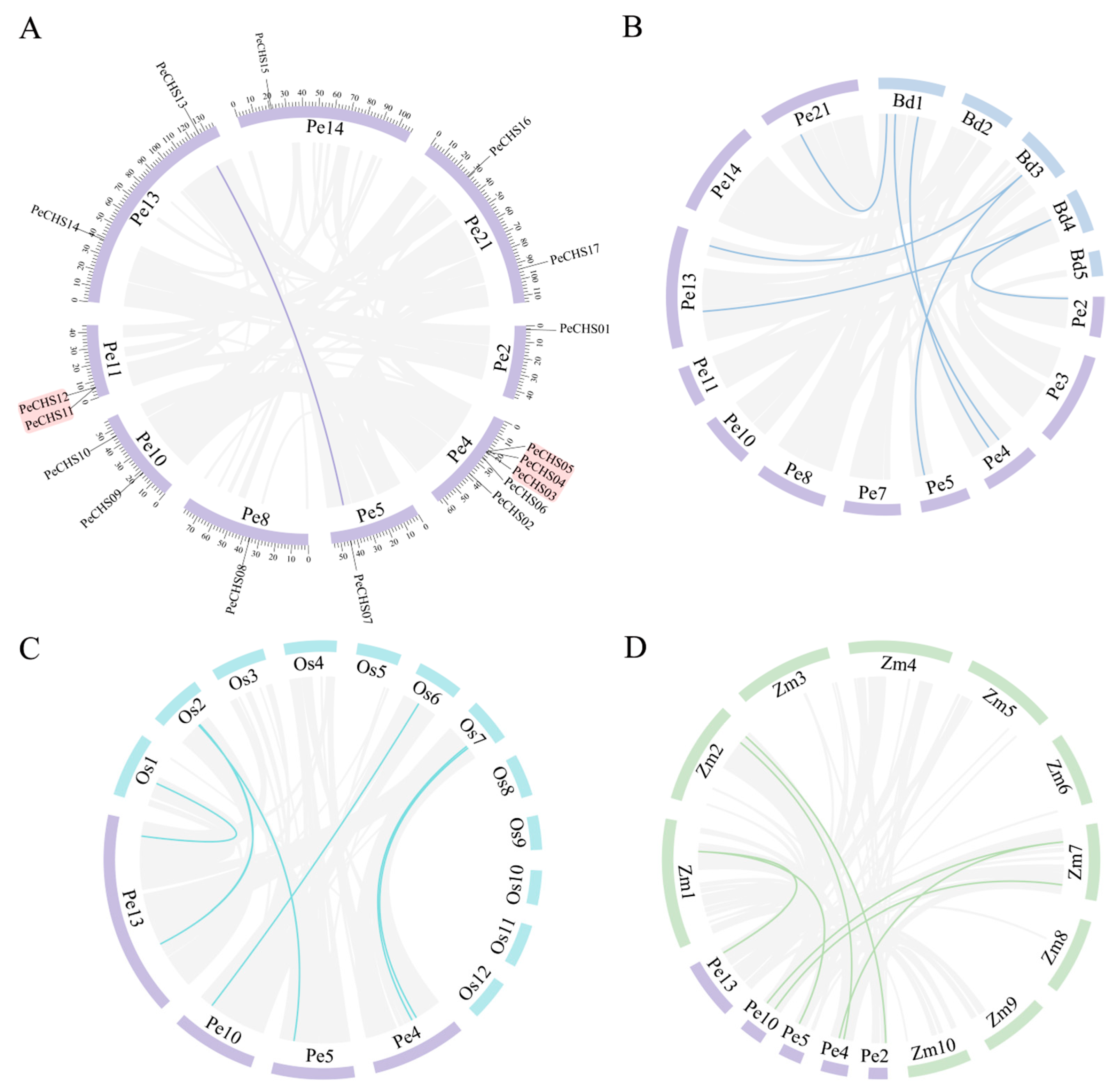 Plants 14 00161 g002