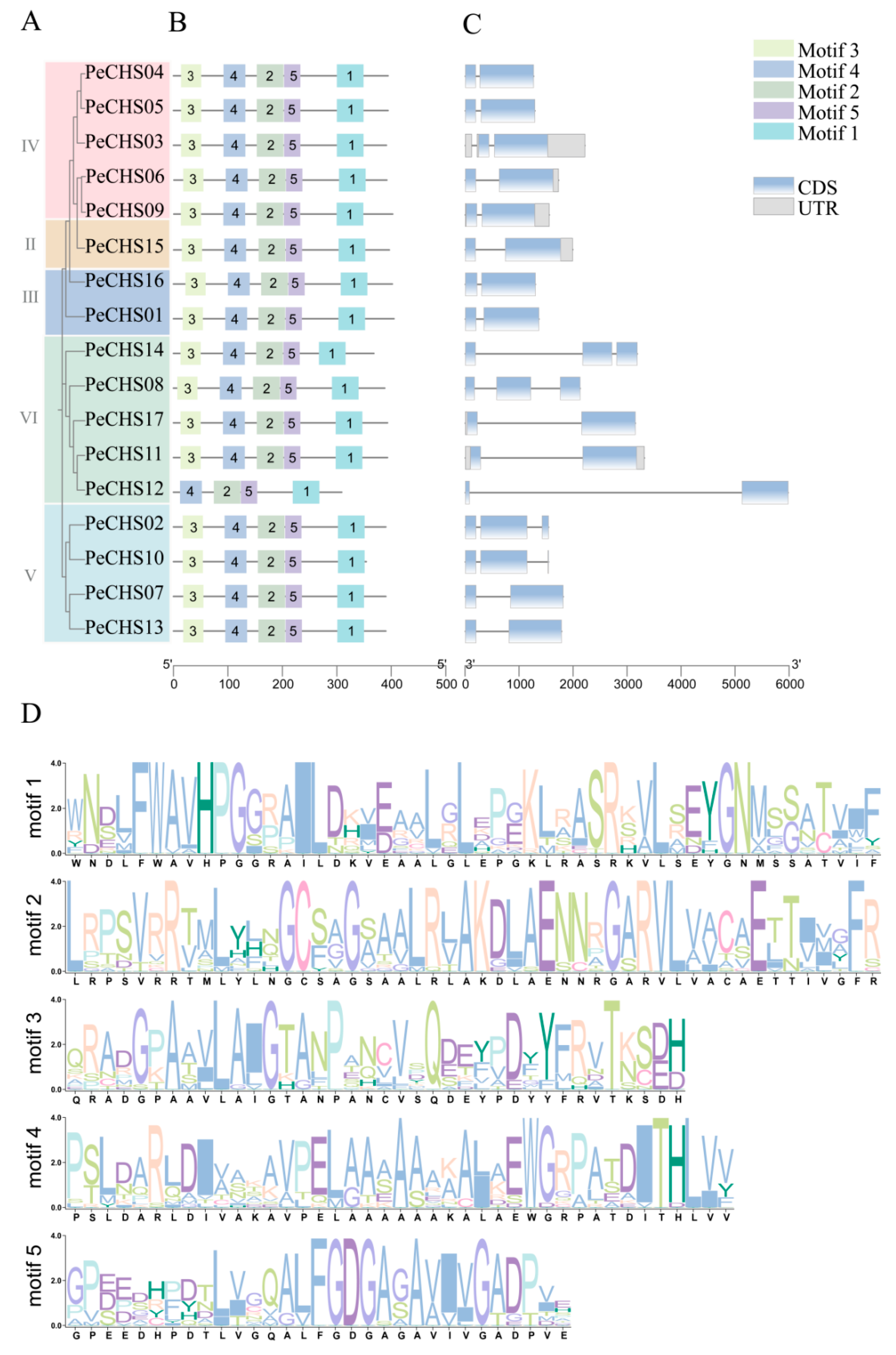 Plants 14 00161 g003