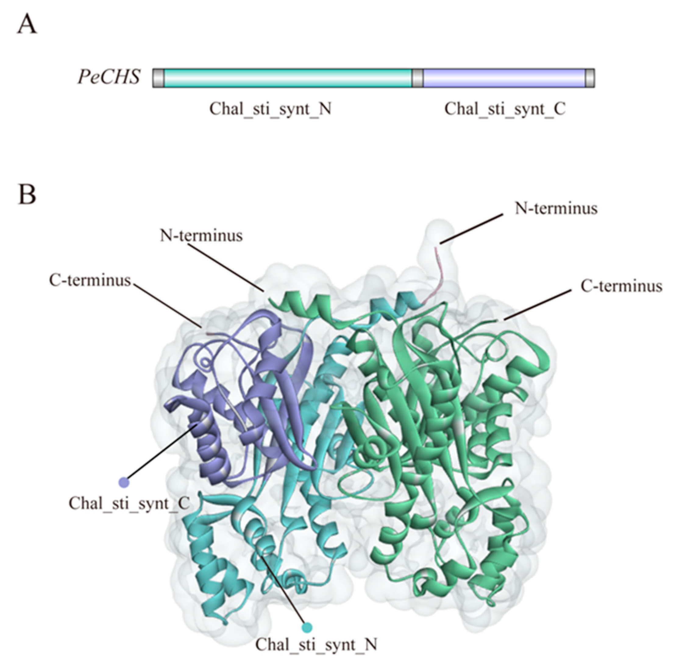 Plants 14 00161 g004