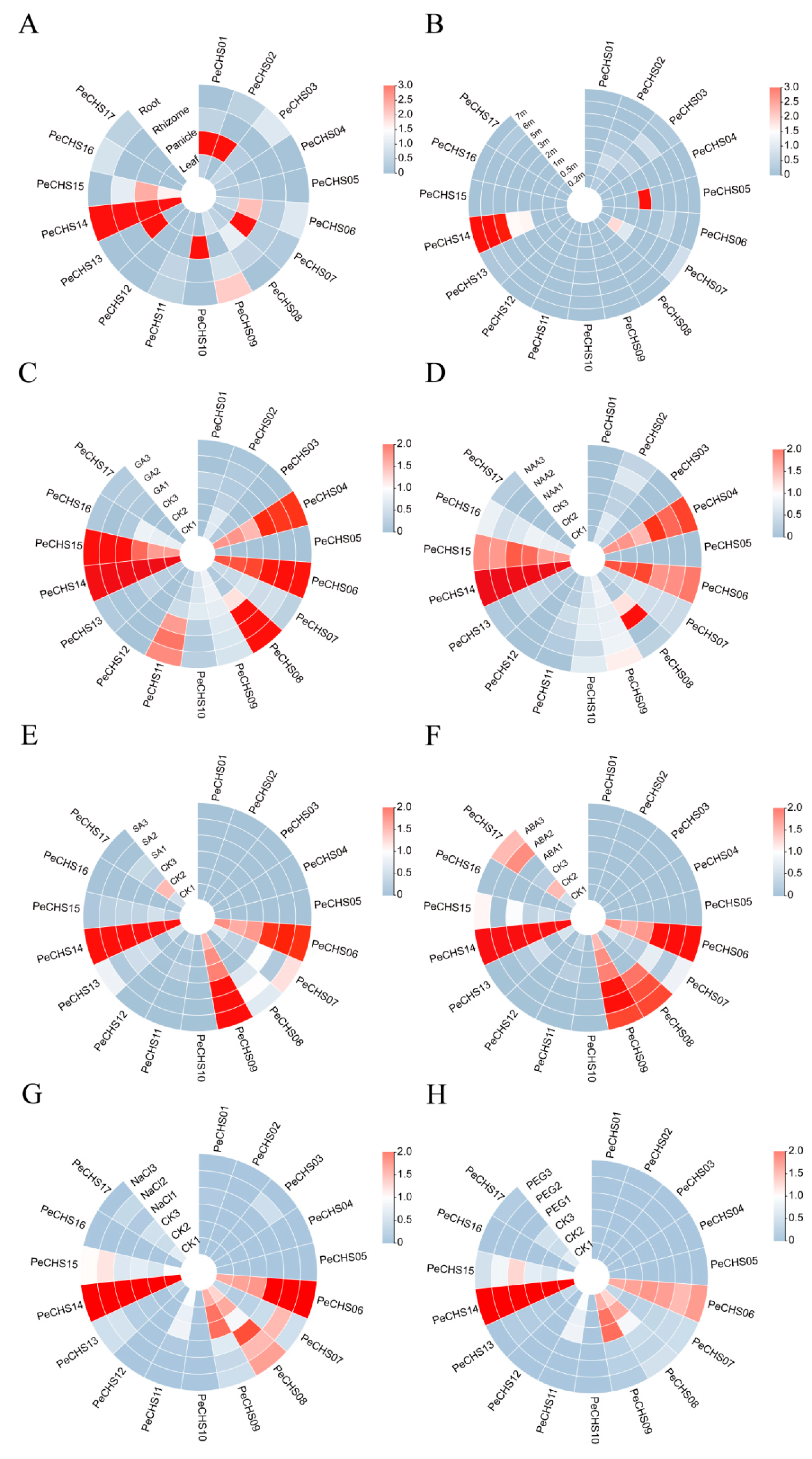 Plants 14 00161 g006