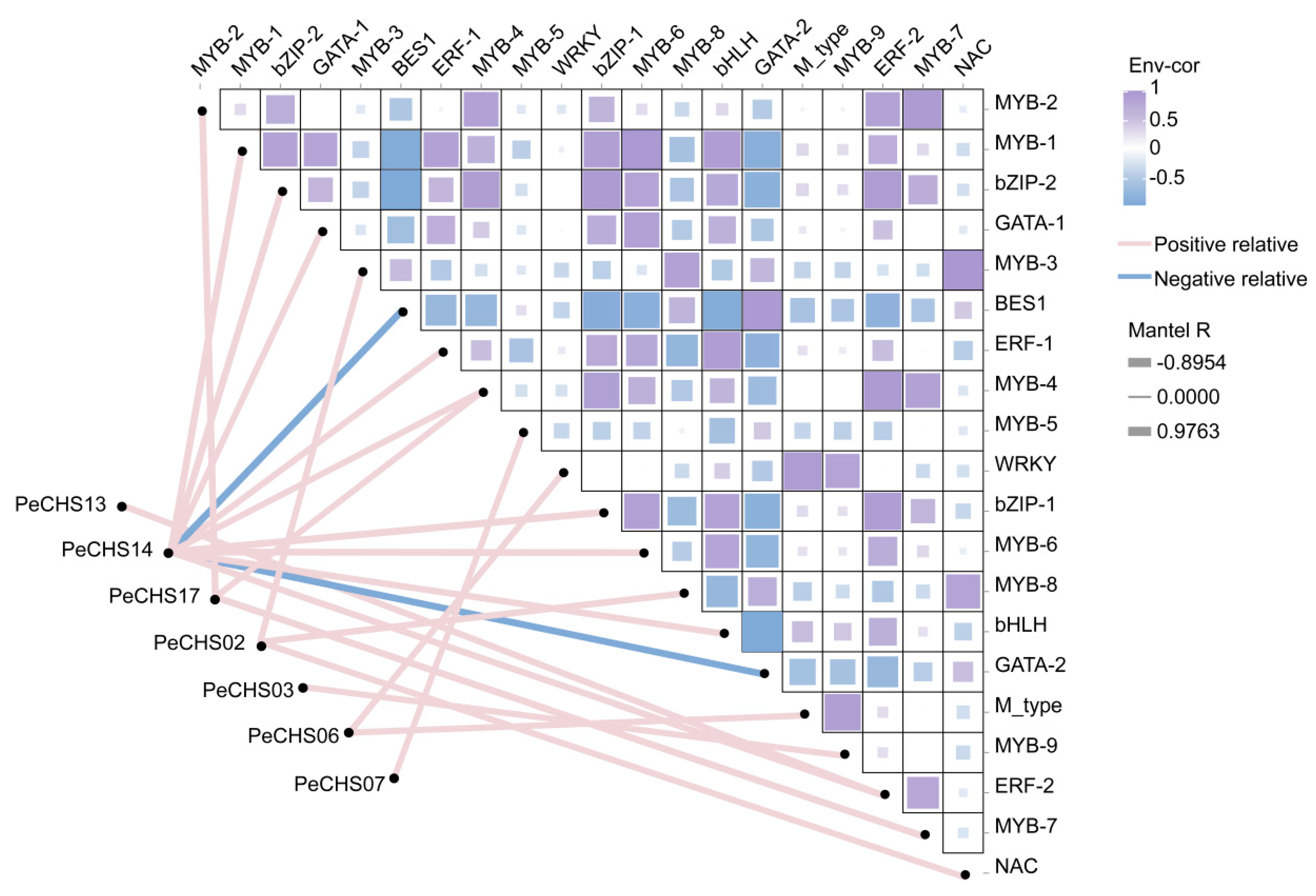 Plants 14 00161 g008