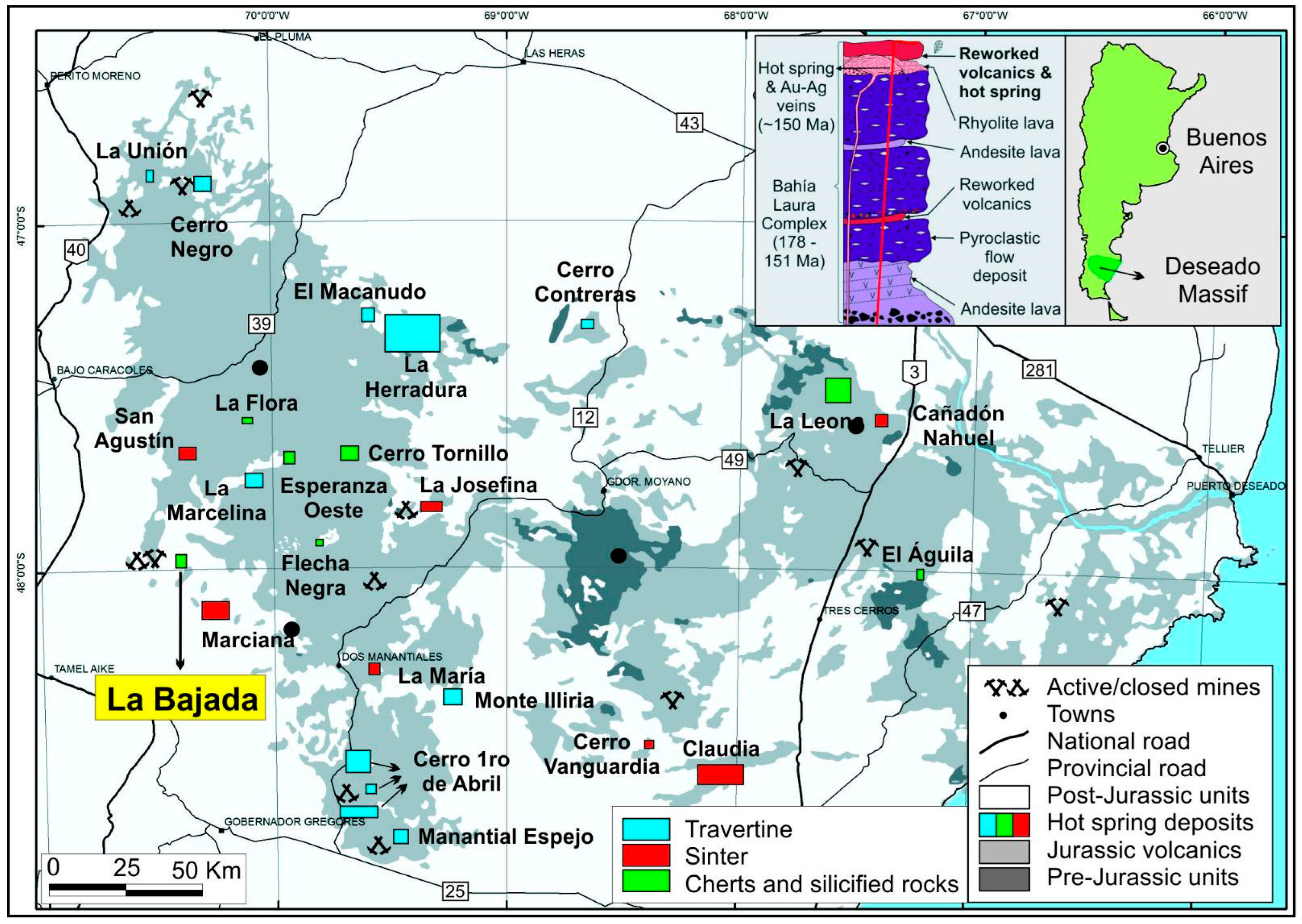 Plants 14 00165 g001