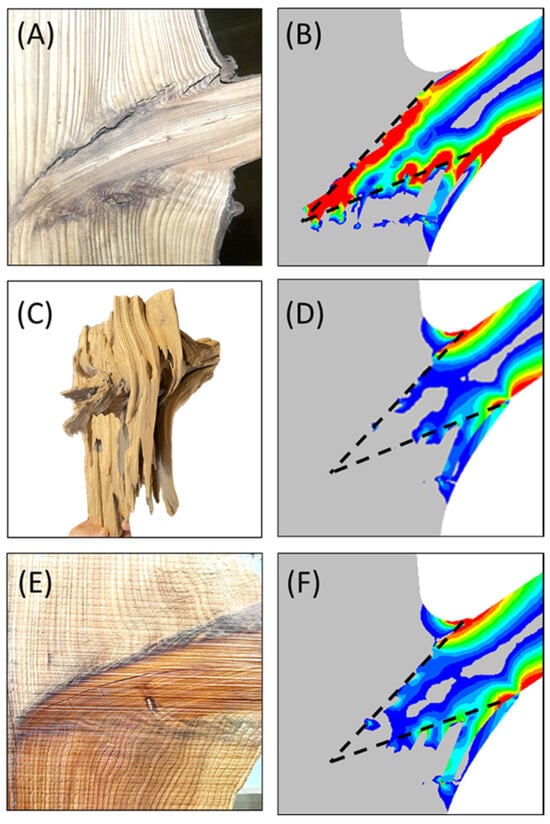 Plants 14 00167 g007