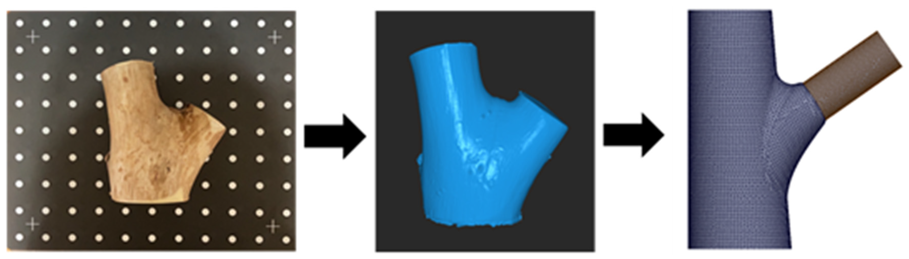 Plants 14 00167 g009