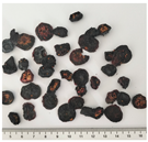 Plants 14 00168 i003